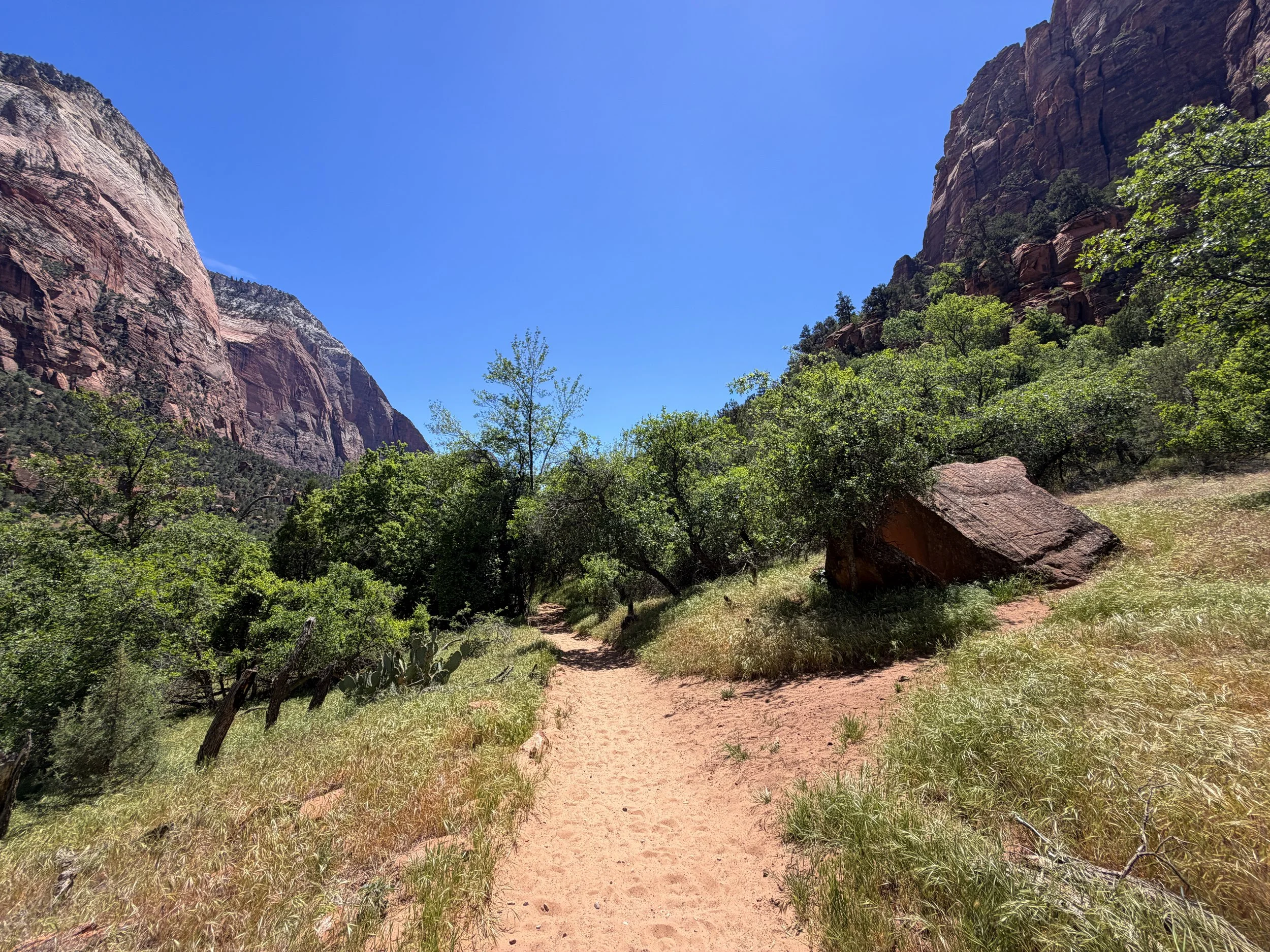 Sand Bench Loop Trail via Zion Lodge Zion National Park Utah