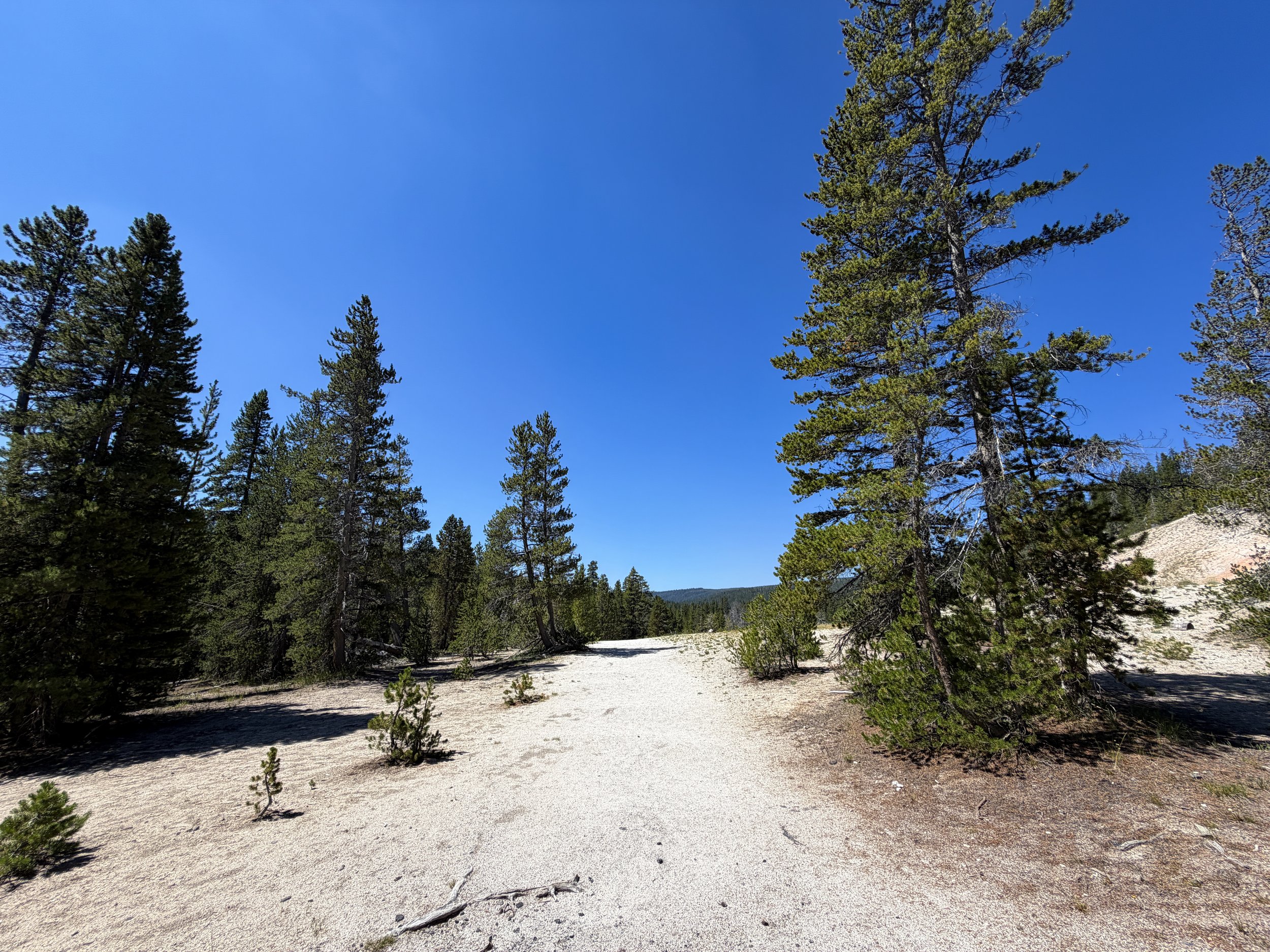 Lone Star Geyser Trail Yellowstone National Park Wyoming