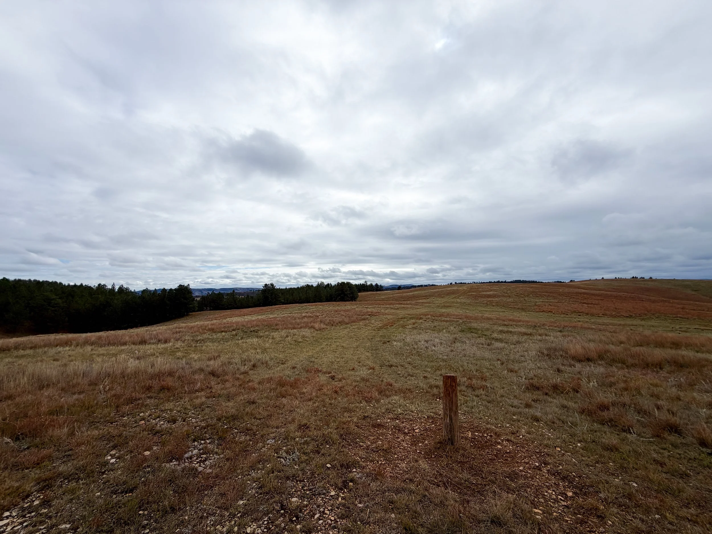 Highland Creek Trail Wind Cave National Park South Dakota