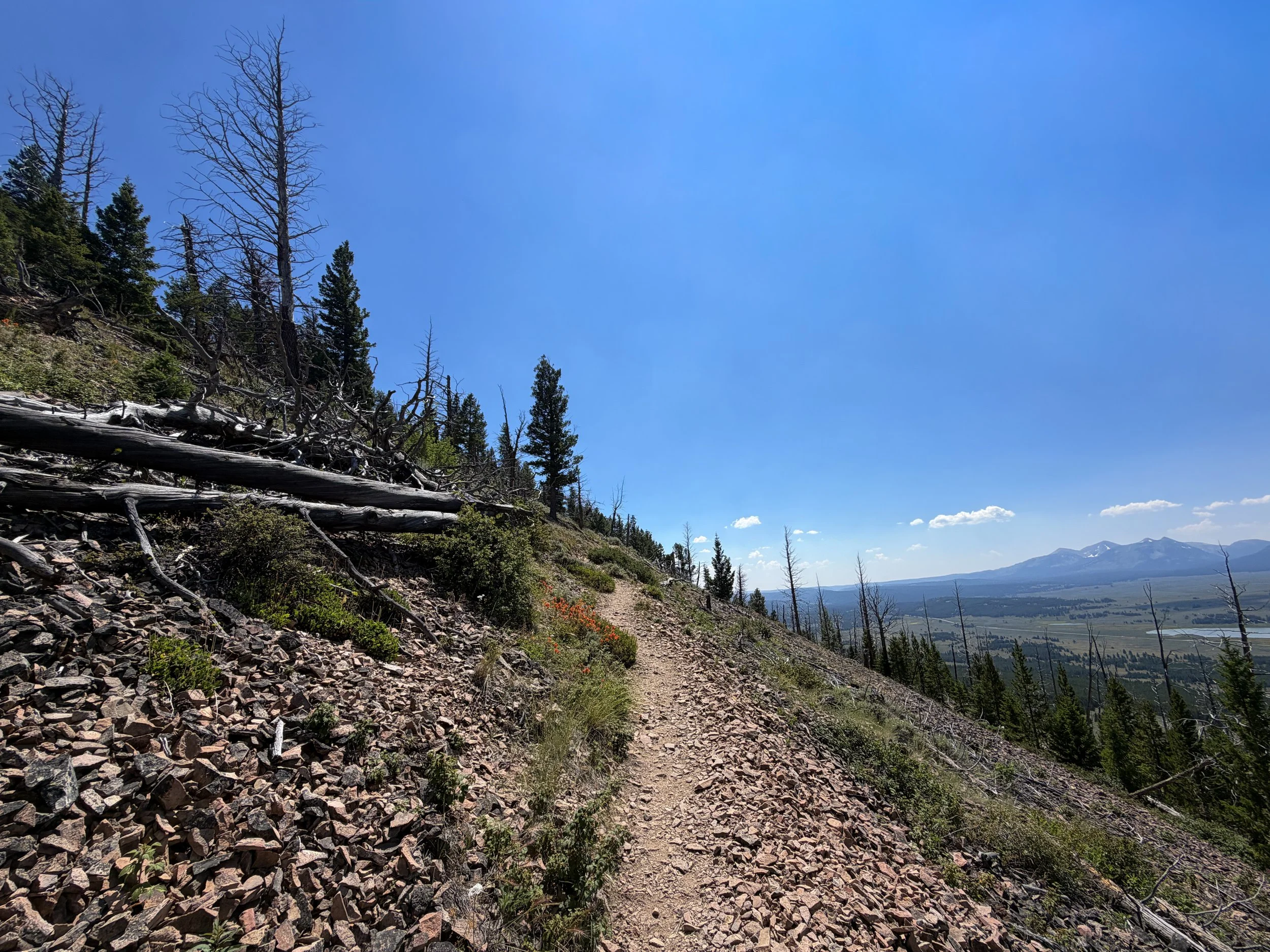 Bunsen Peak Hike Yellowstone National Park Wyoming