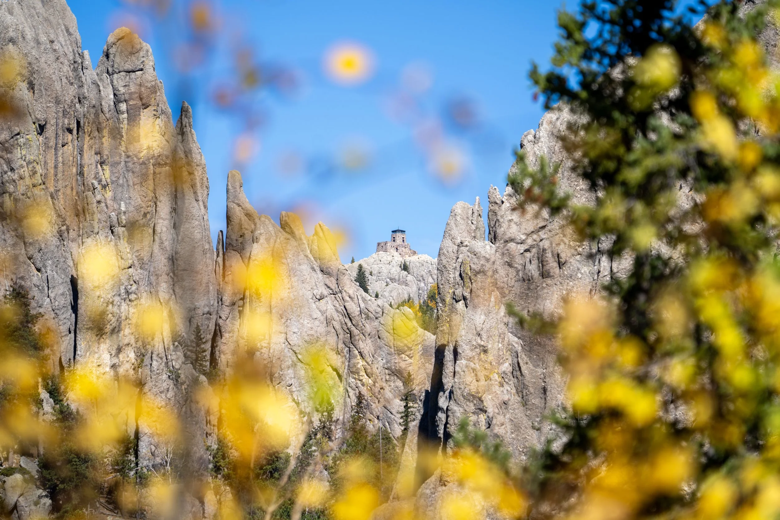 Black Elk Peak Fall Colors Black Hills South Dakota