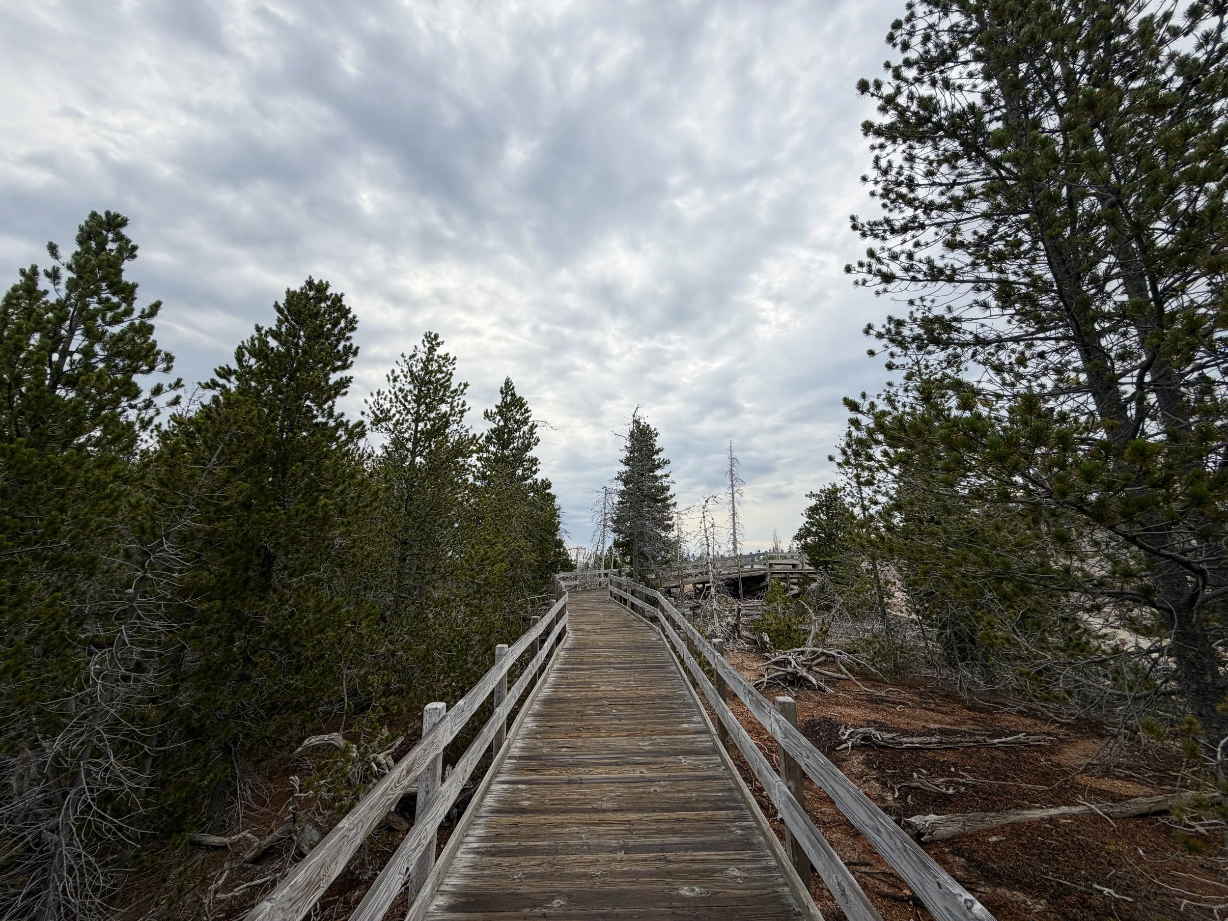 Norris Geyser Basin Trail Yellowstone National Park Wyoming