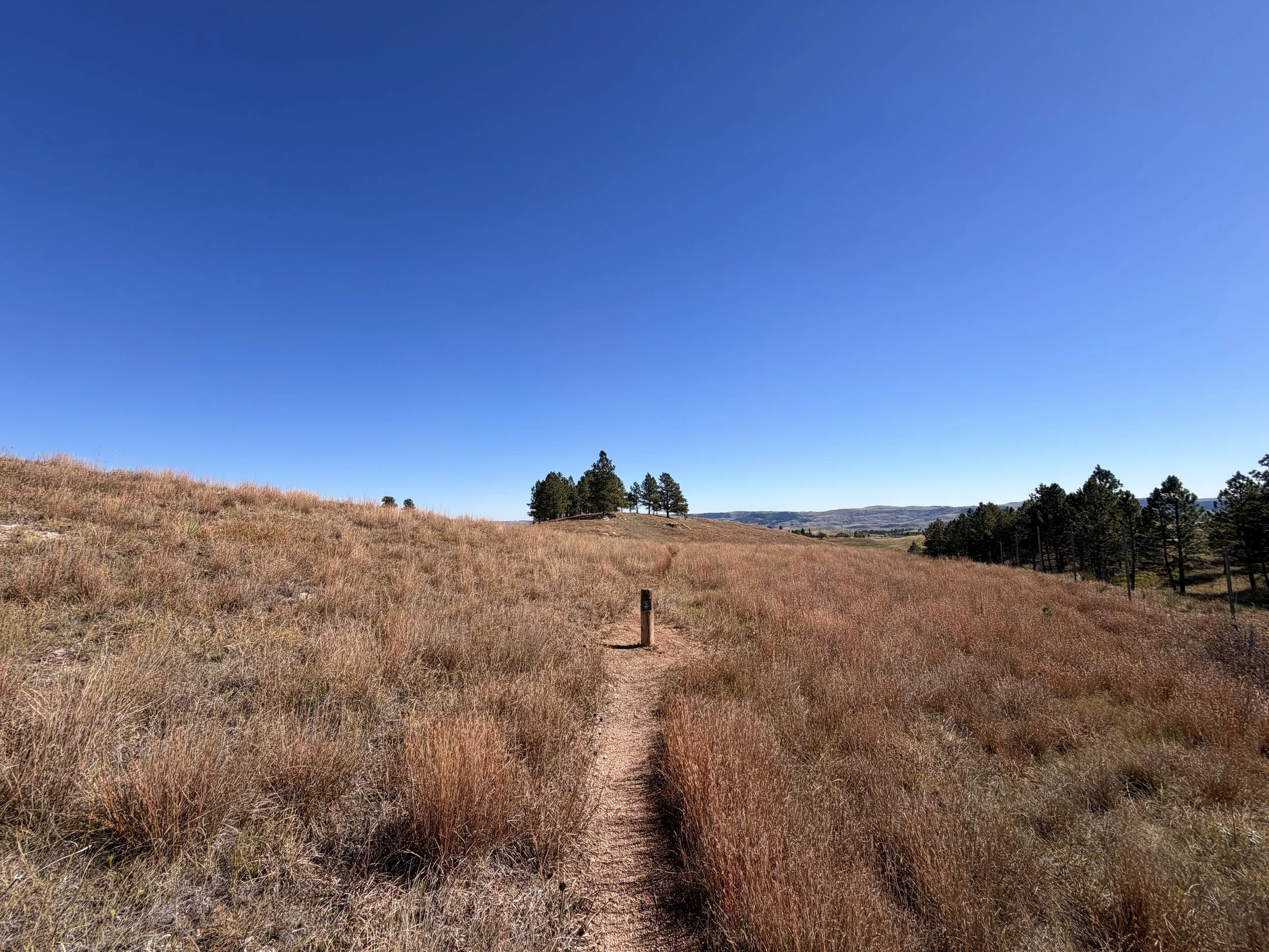 East Bison Flats Trail Wind Cave National Park South Dakota