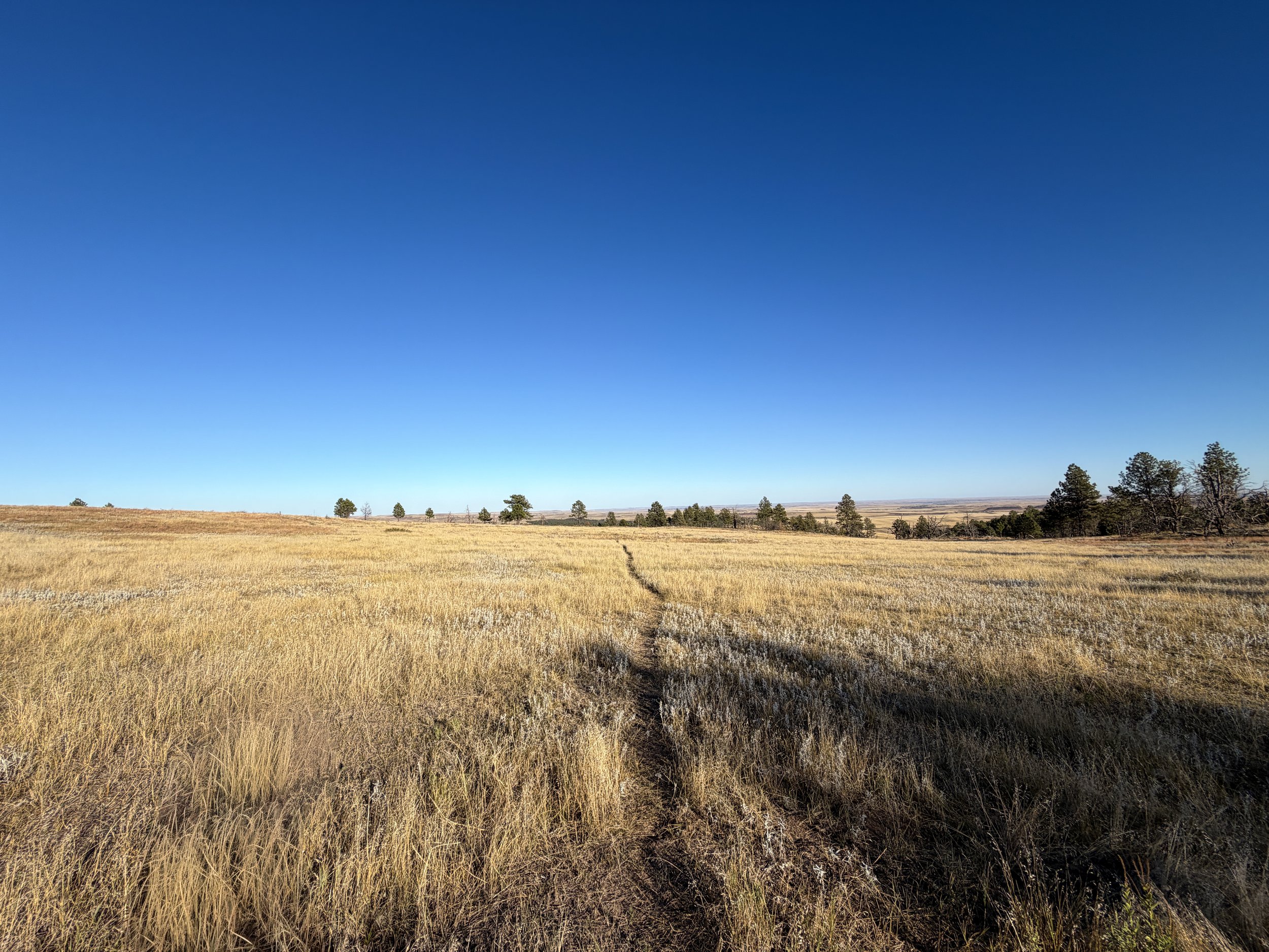 Boland Ridge Hike Wind Cave National Park South Dakota