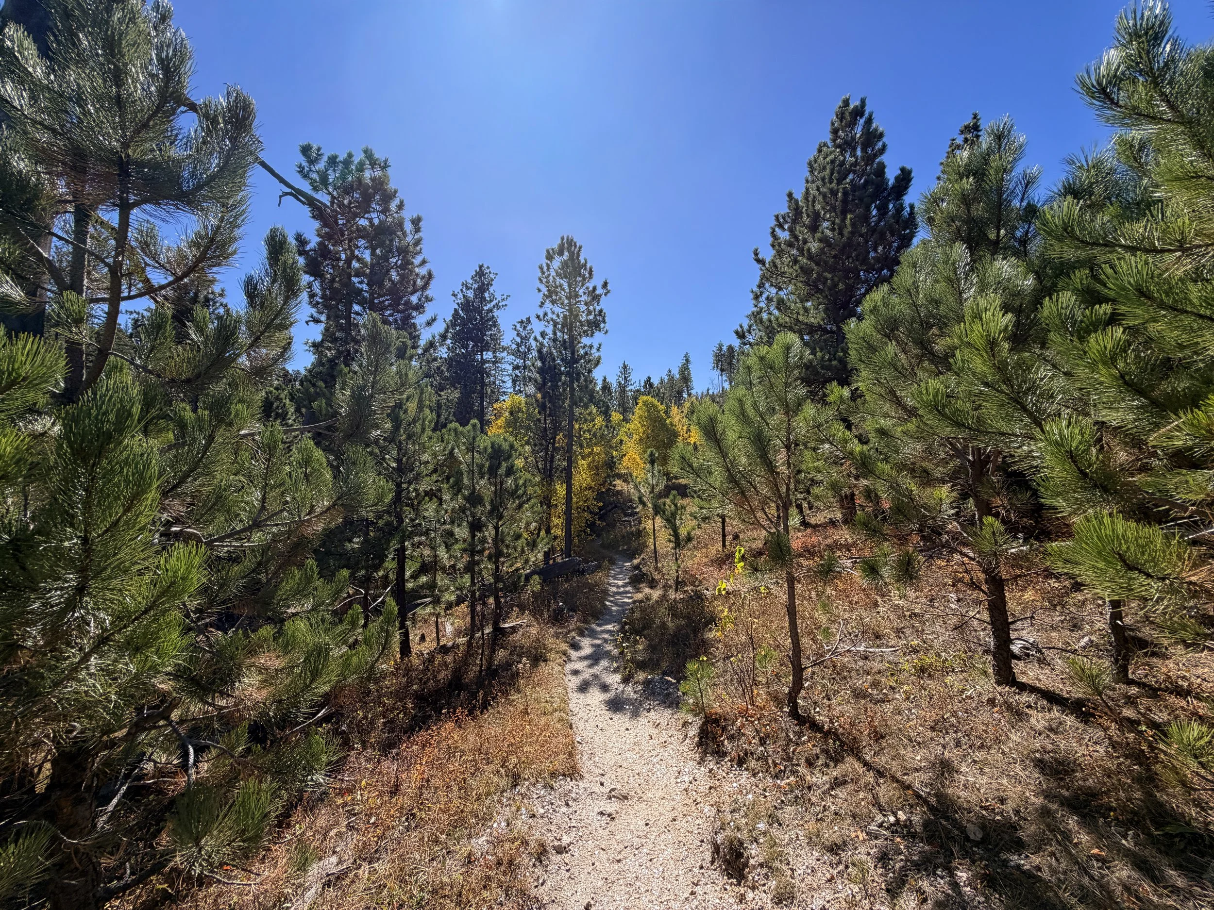 Sunday Gulch Trail Custer State Park Black Hills South Dakota