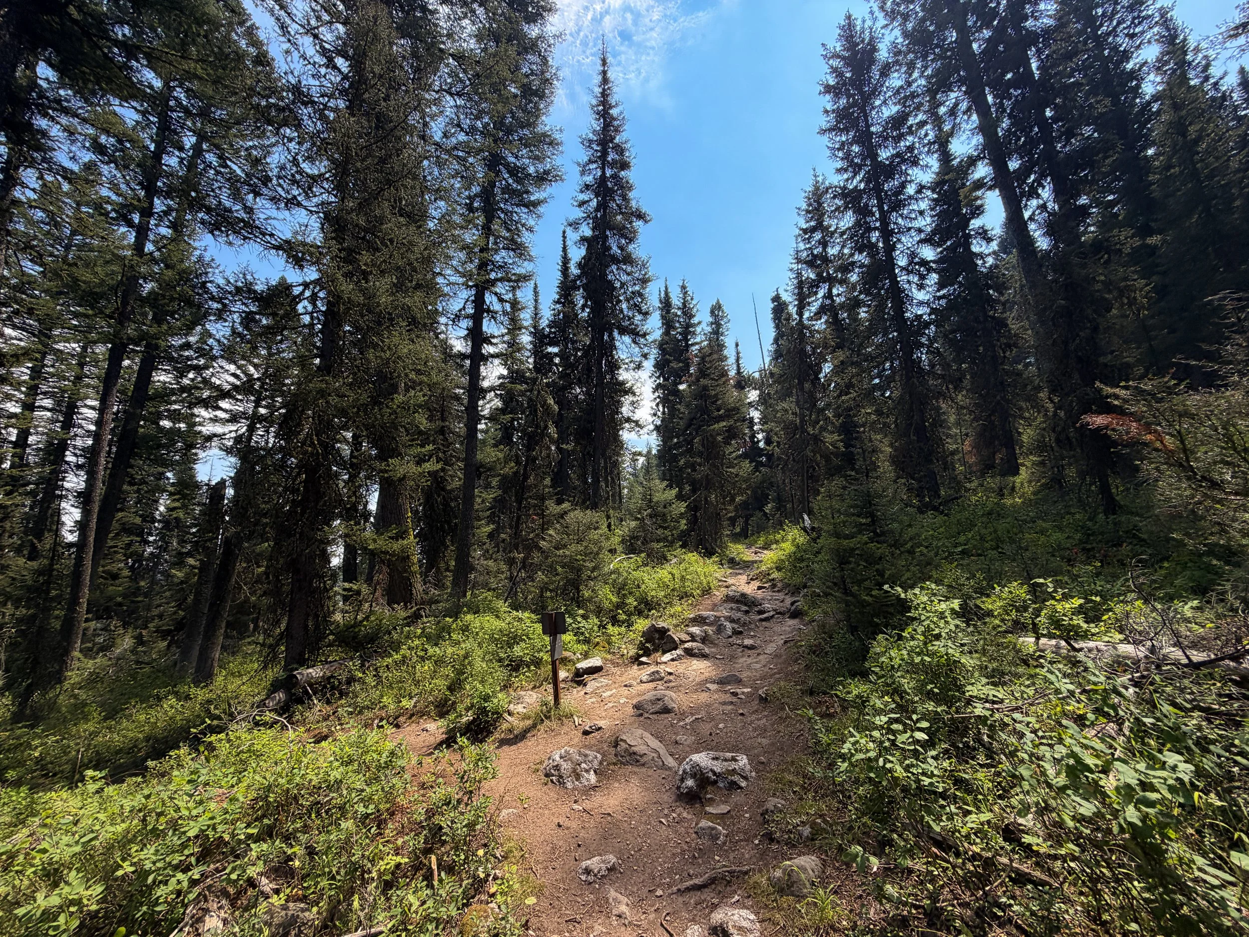 Huckleberry Point Phelps Lake Loop Trail Grand Teton National Park Wyoming