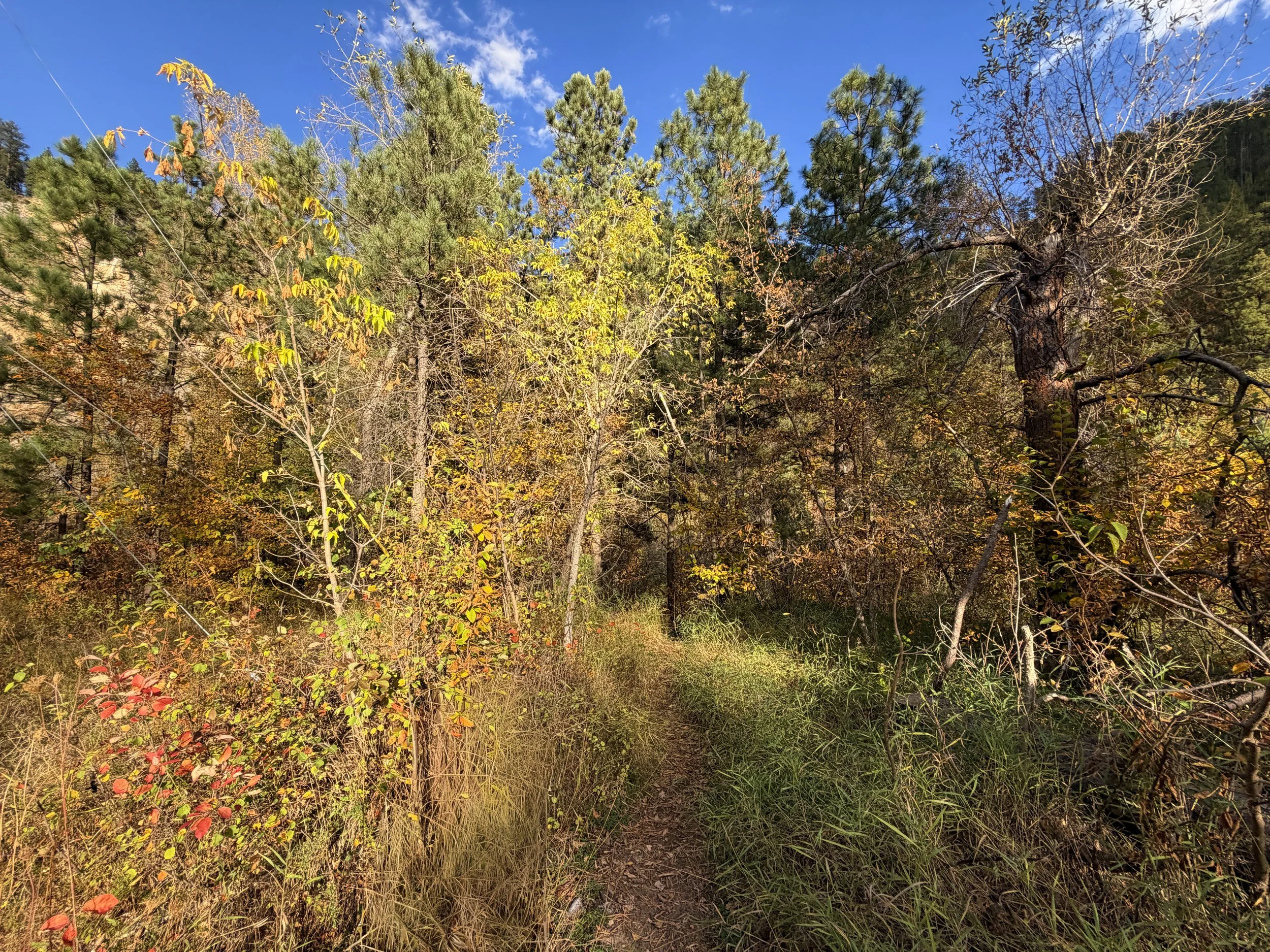 Community Caves Trail Spearfish Canyon Black Hills South Dakota