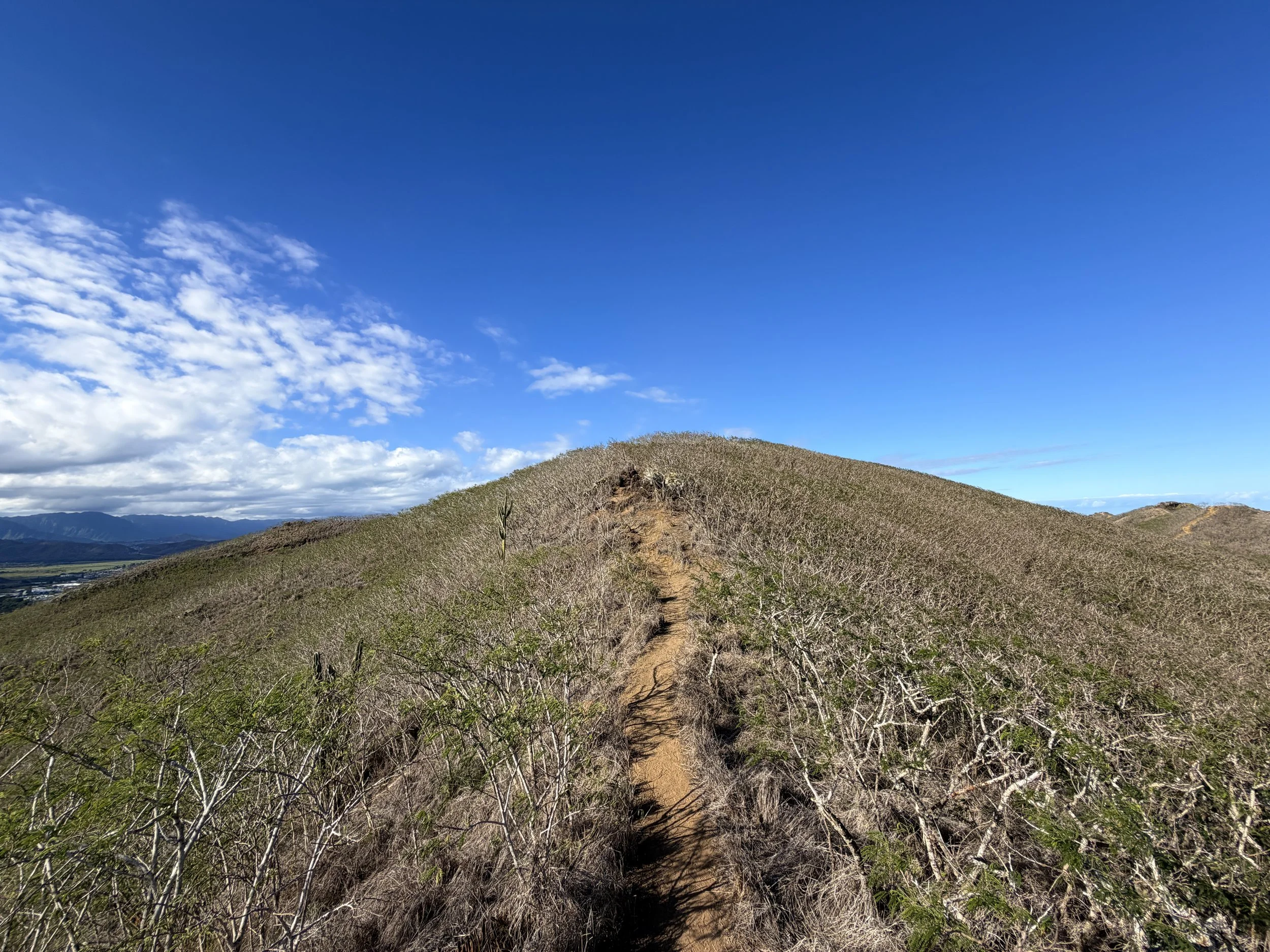 Back Lanikai Pillbox Trail Oahu Hawaii