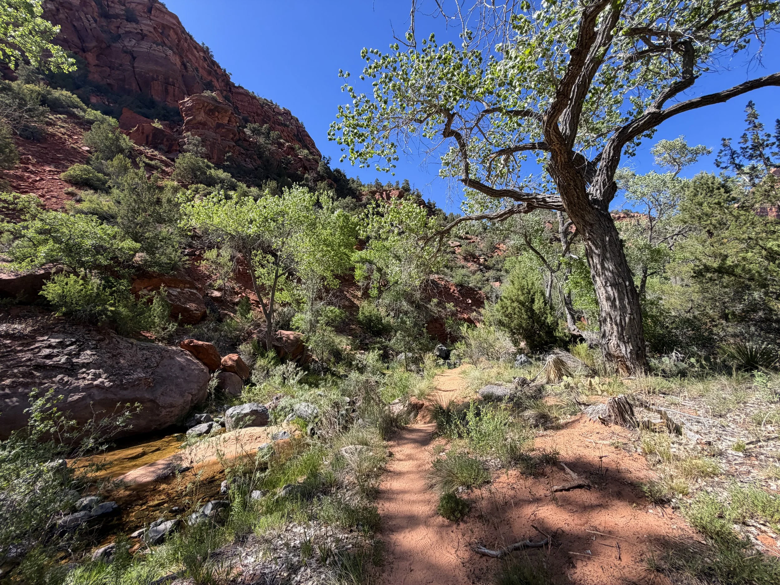 Subway Trail Bottom–Up Route Zion National Park Utah