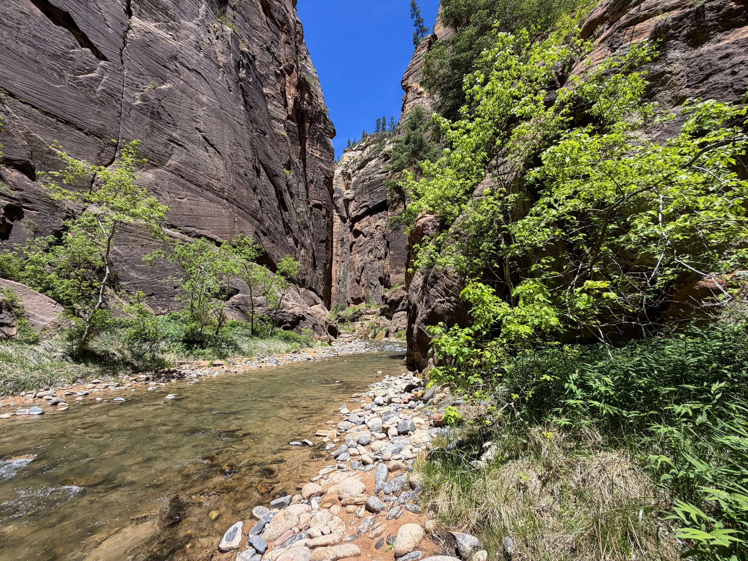 Narrows Hike Zion National Park Utah