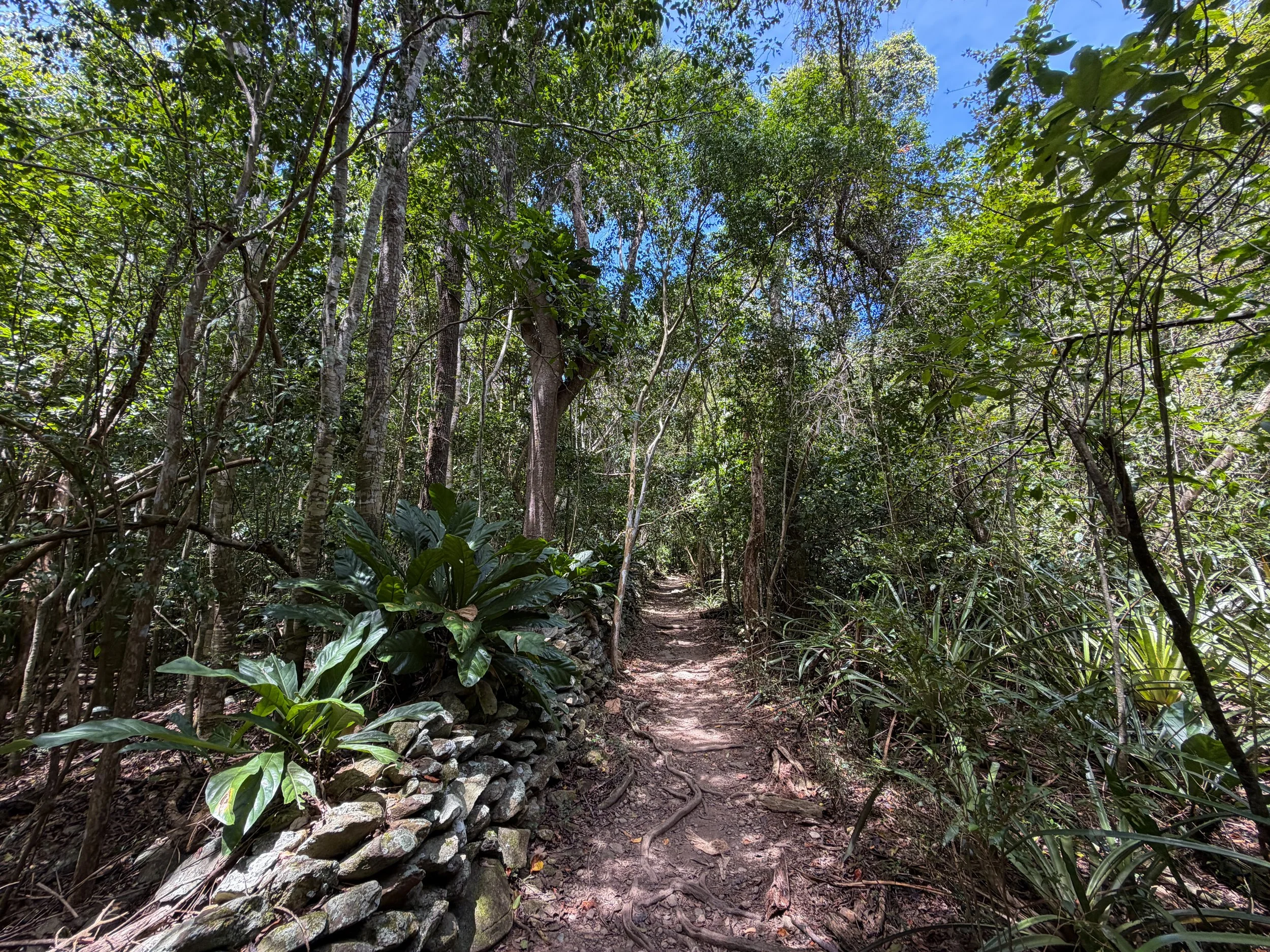 Petroglyphs Trail Virgin Islands National Park