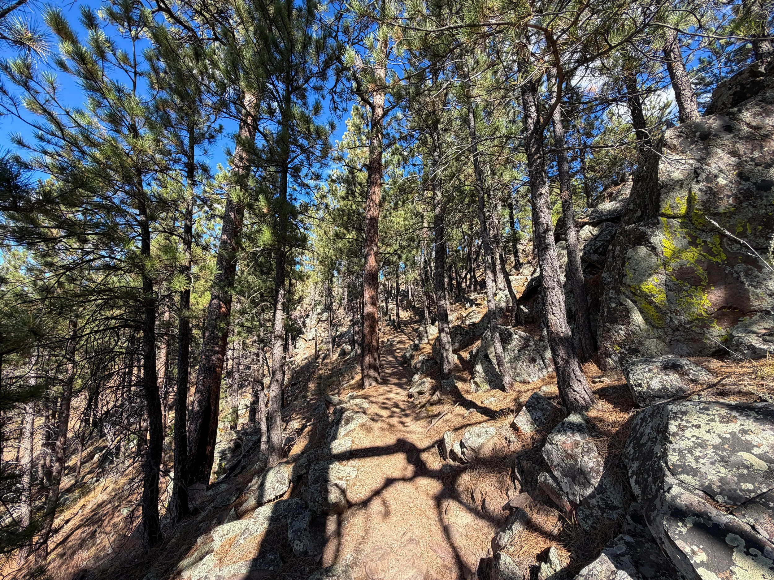Rankin Ridge Nature Hike Wind Cave National Park South Dakota