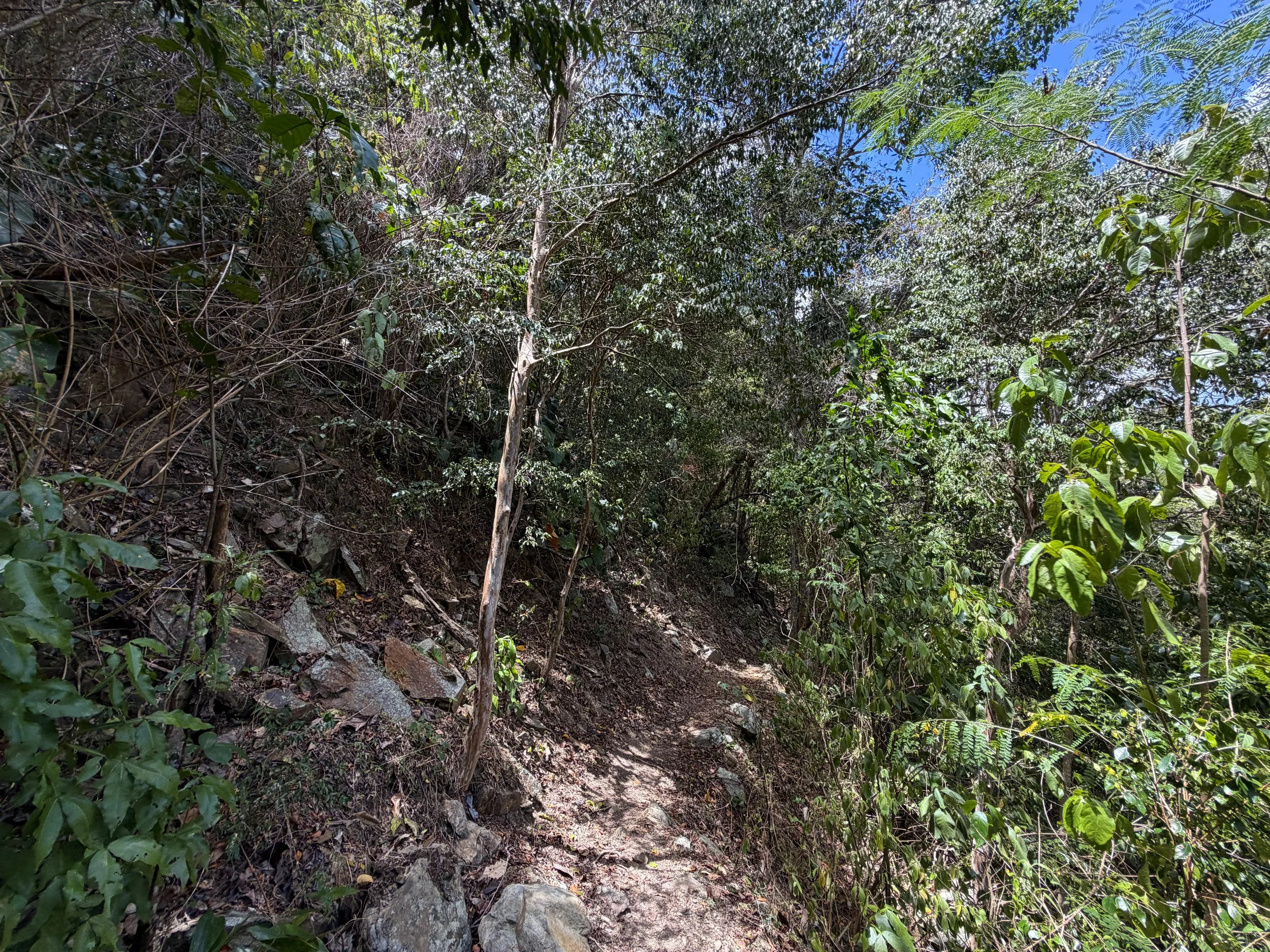 Maria Hope Hike Virgin Islands National Park