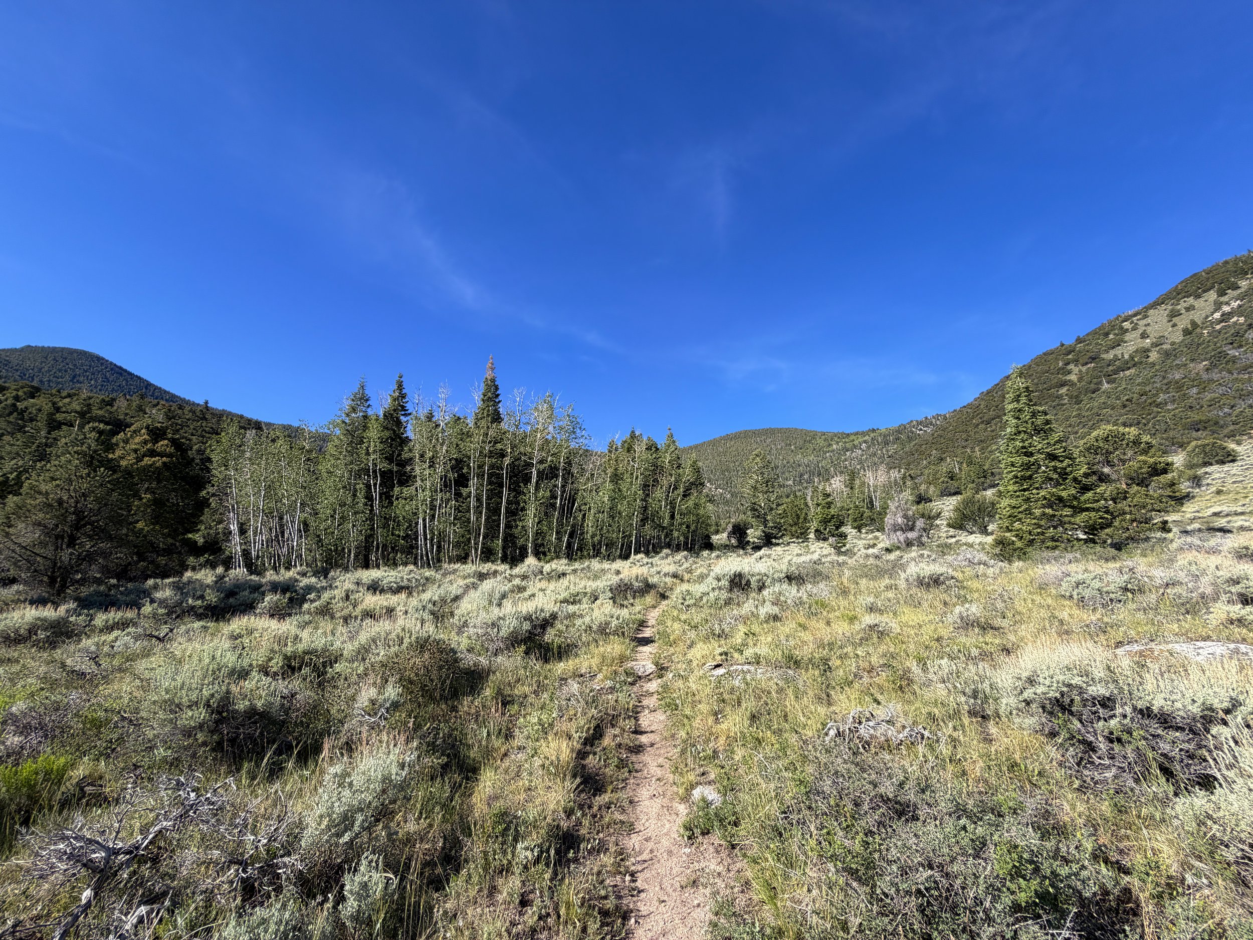 Pole Canyon Hike Great Basin National Park Nevada
