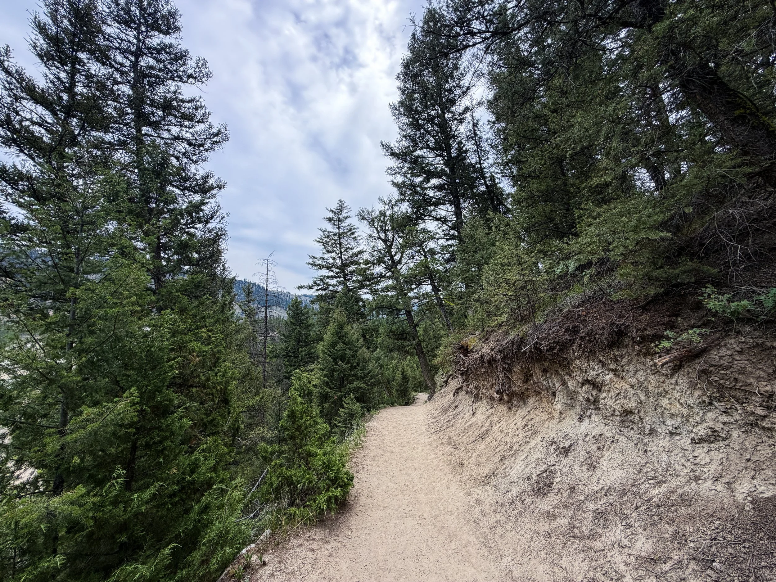 Tower Falls Hike Yellowstone National Park Wyoming