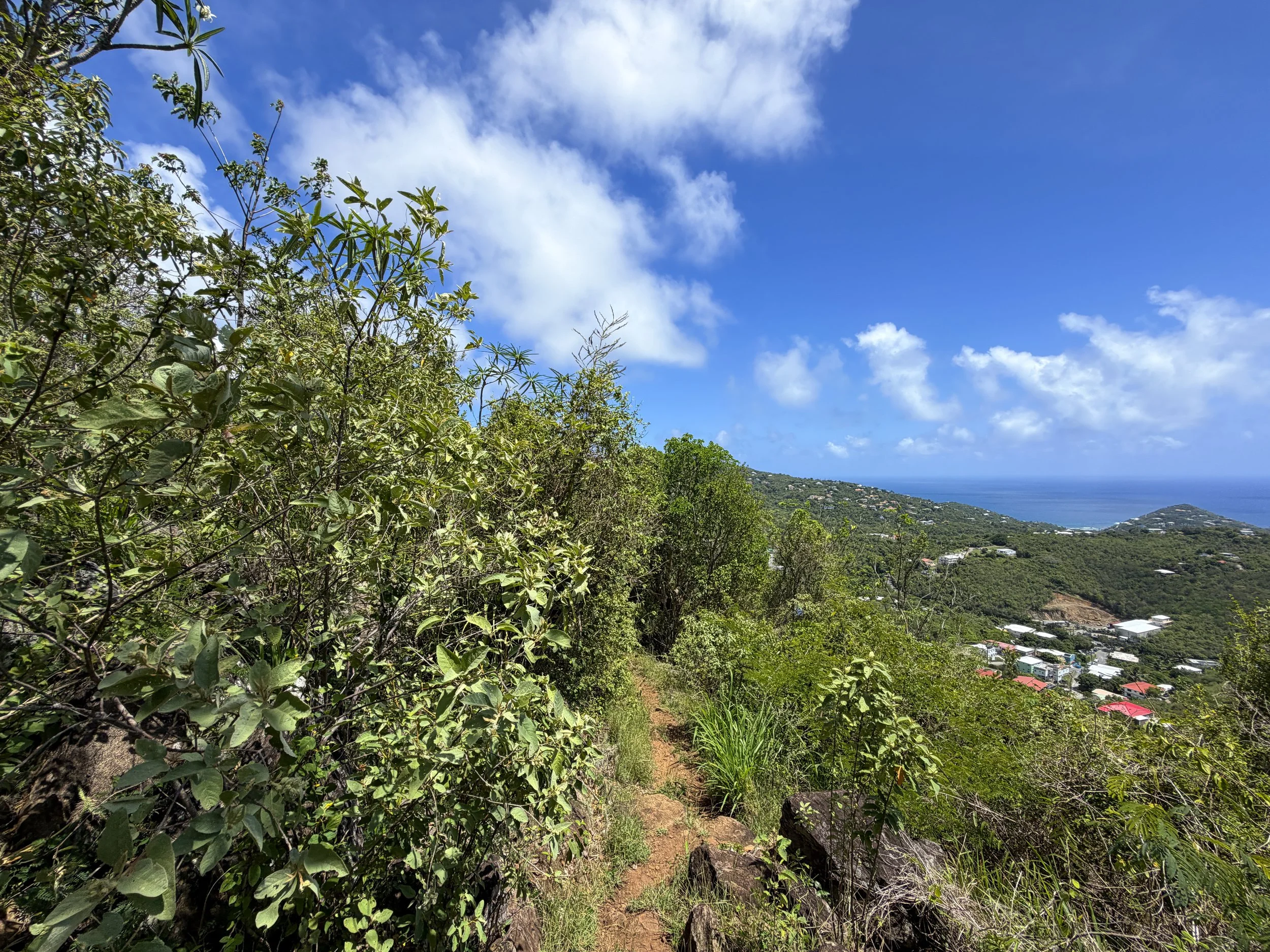 Caneel Hill Trail to Margaret Hill Virgin Islands National Park