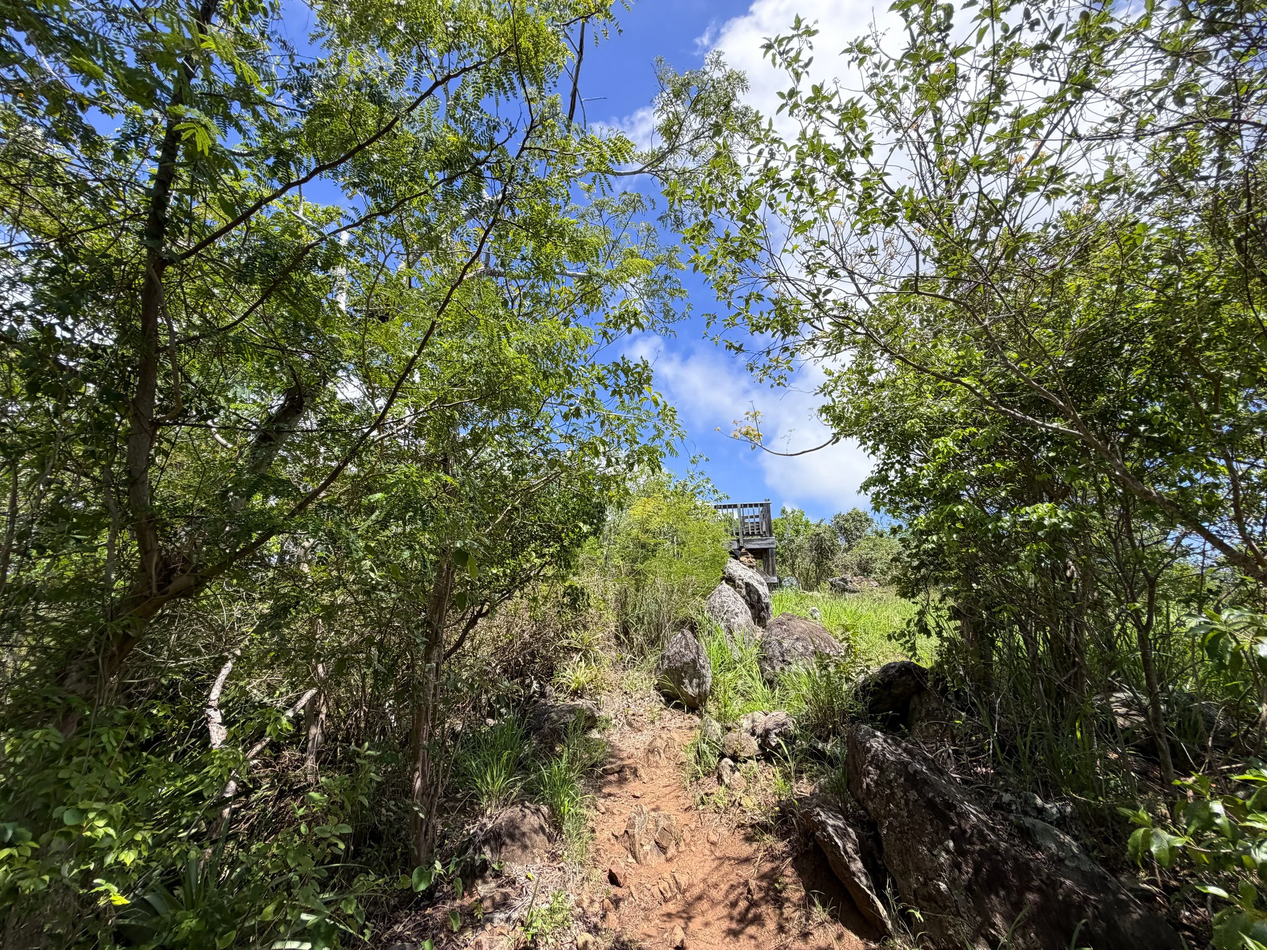 Top of Caneel Hill Virgin Islands National Park