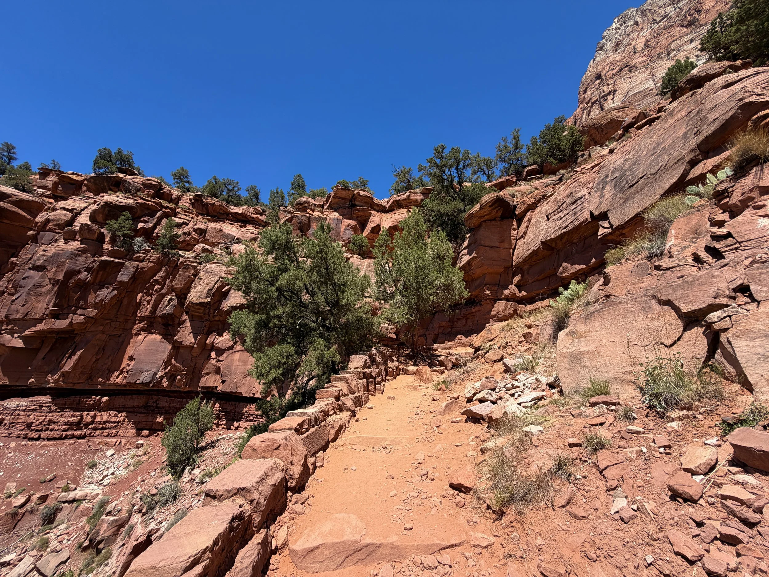 Watchman Trail Switchbacks Zion National Park Utah