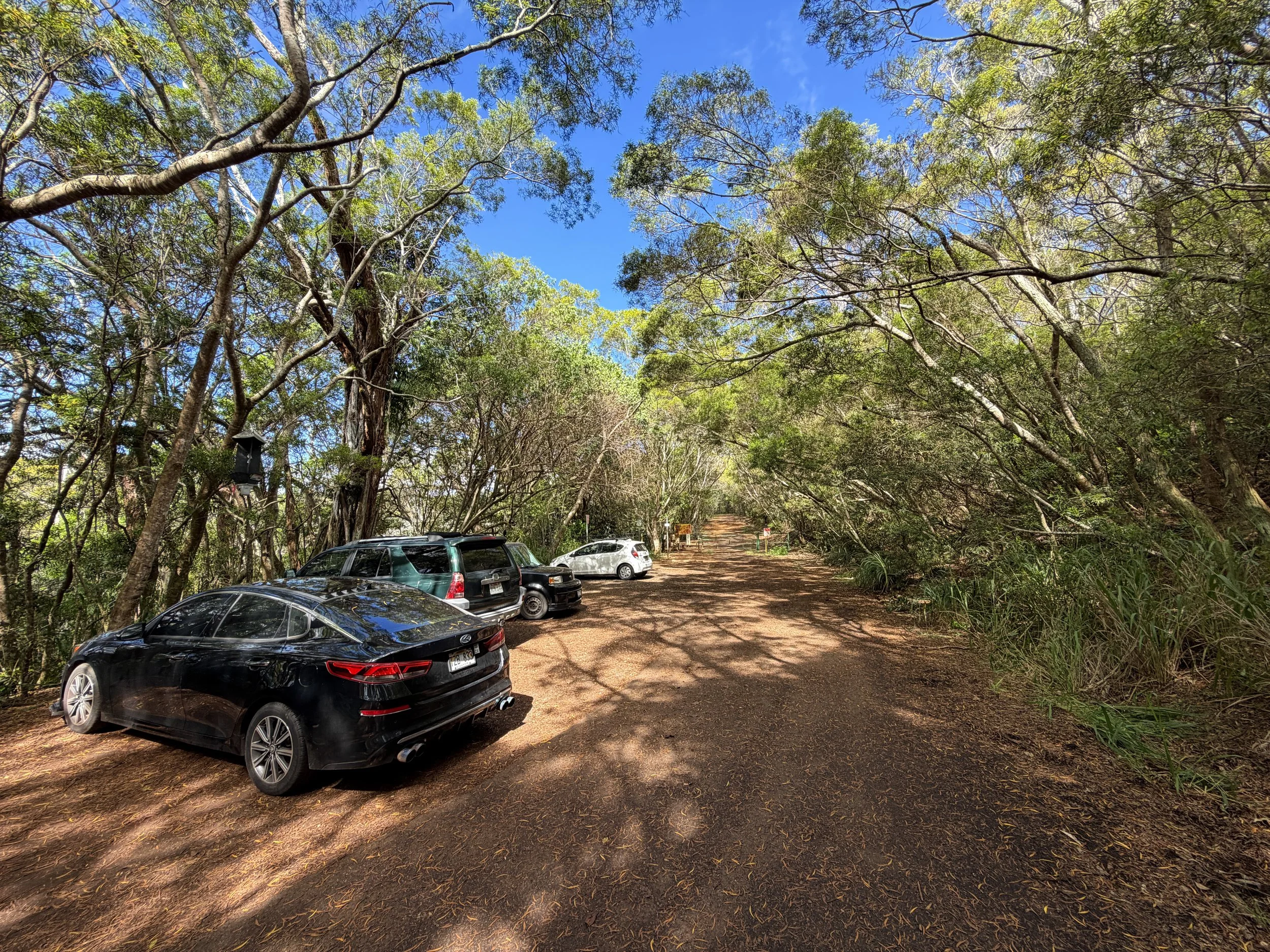 Wiliwilinui Ridge Trailhead Parking Oahu Hawaii