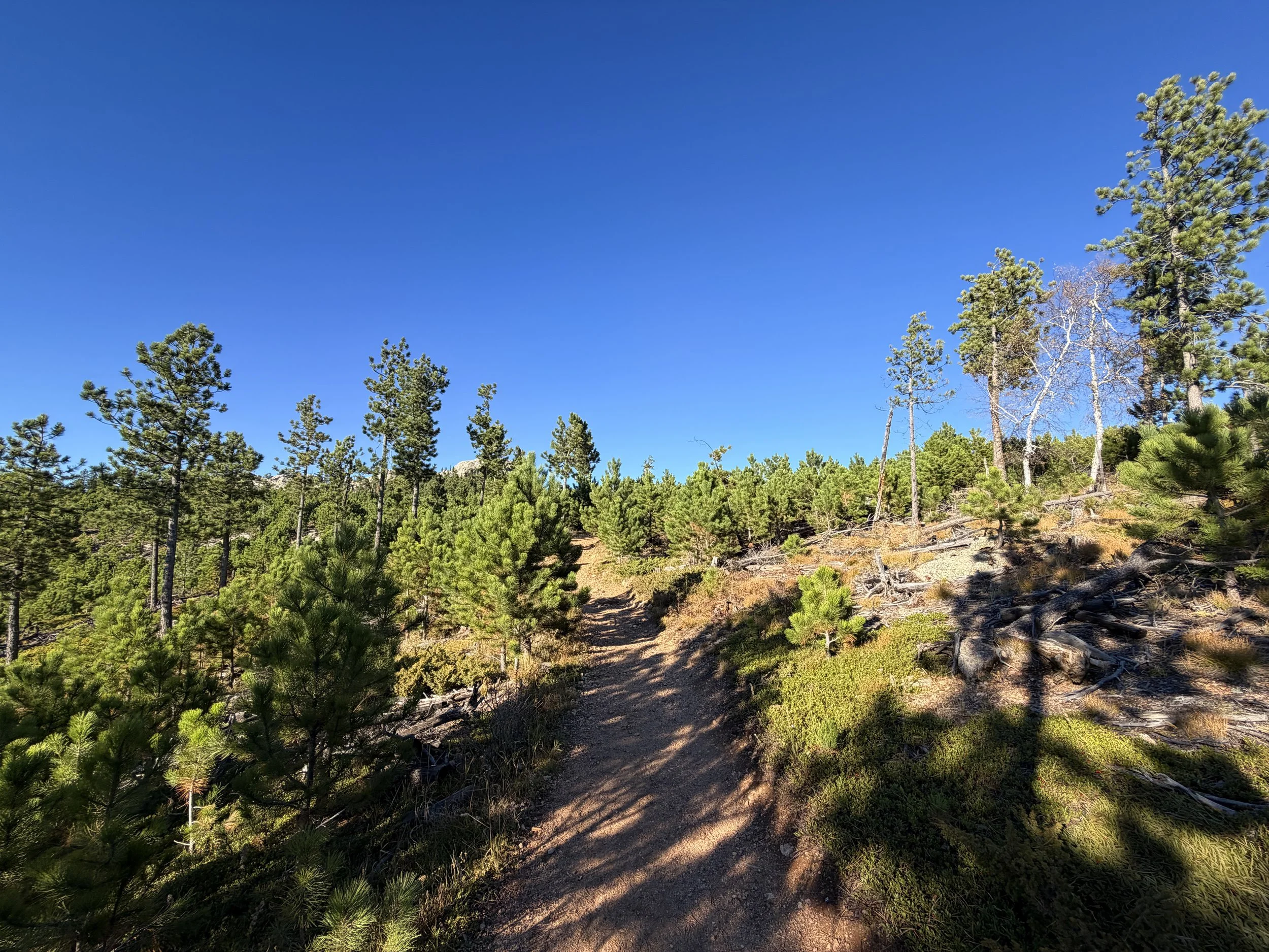 Little Devils Tower Hike Custer State Park Black Hills South Dakota