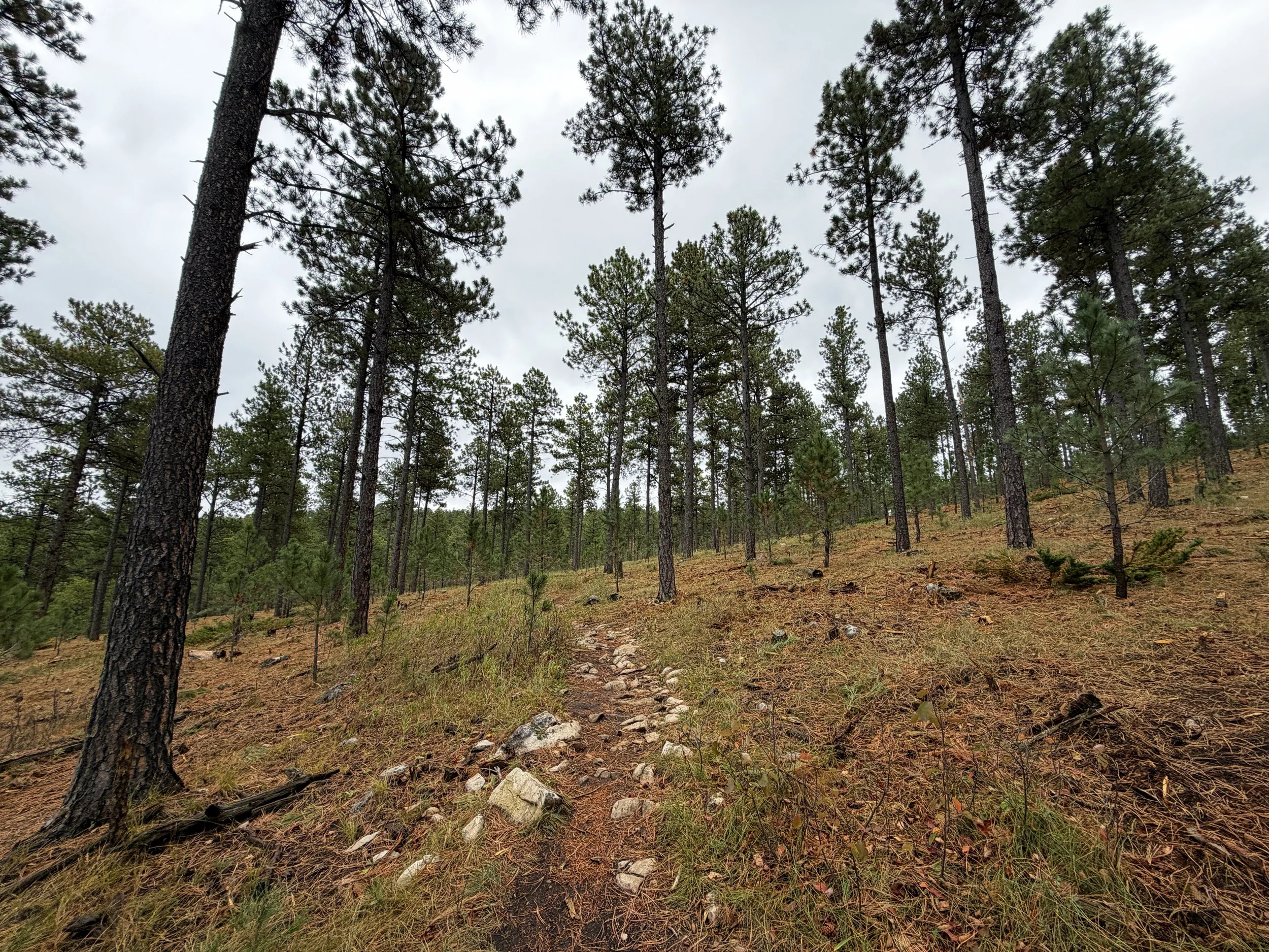 Buzzards Roost Hike Black Hills South Dakota