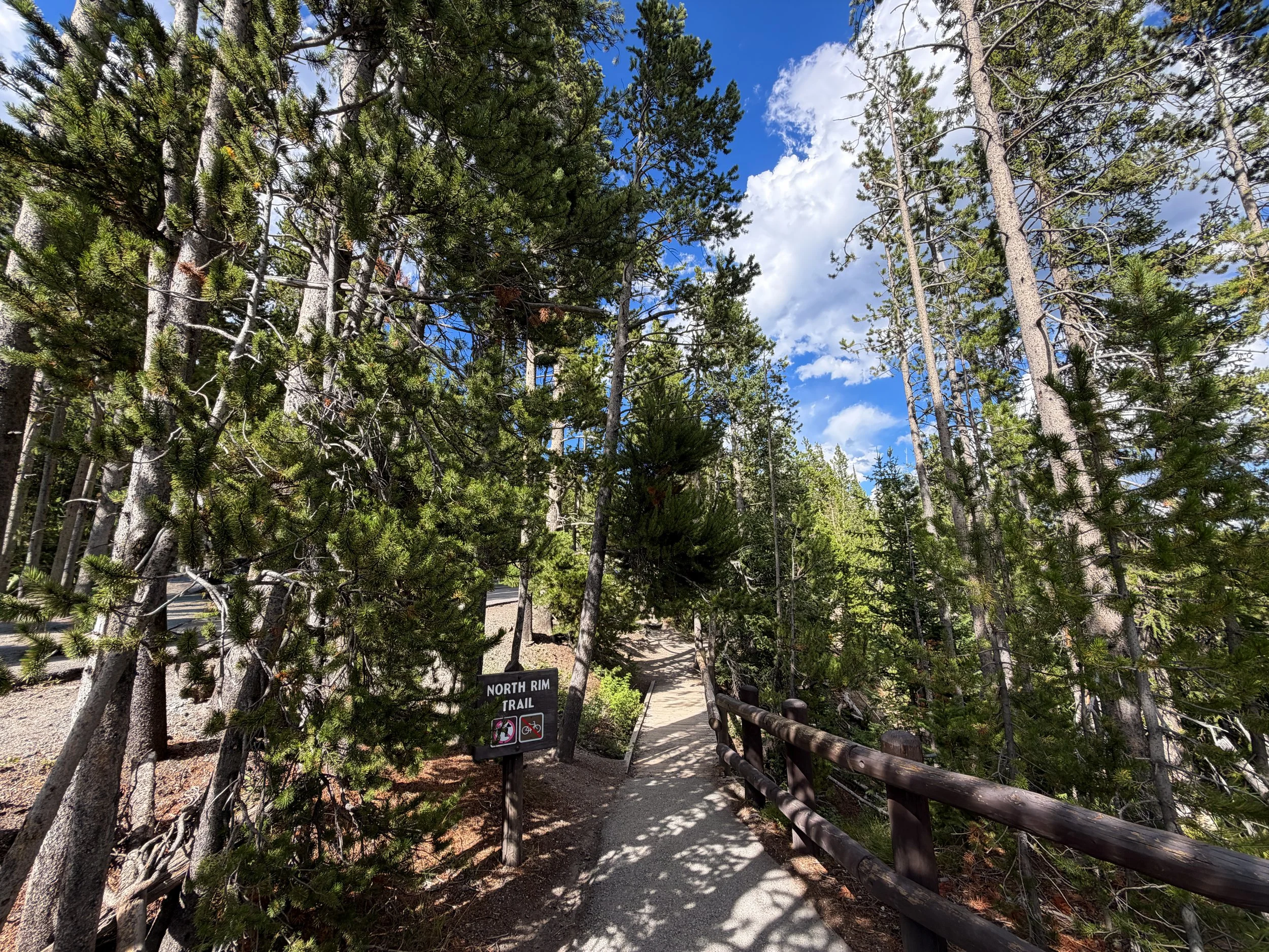 North Rim Trail Yellowstone National Park Wyoming