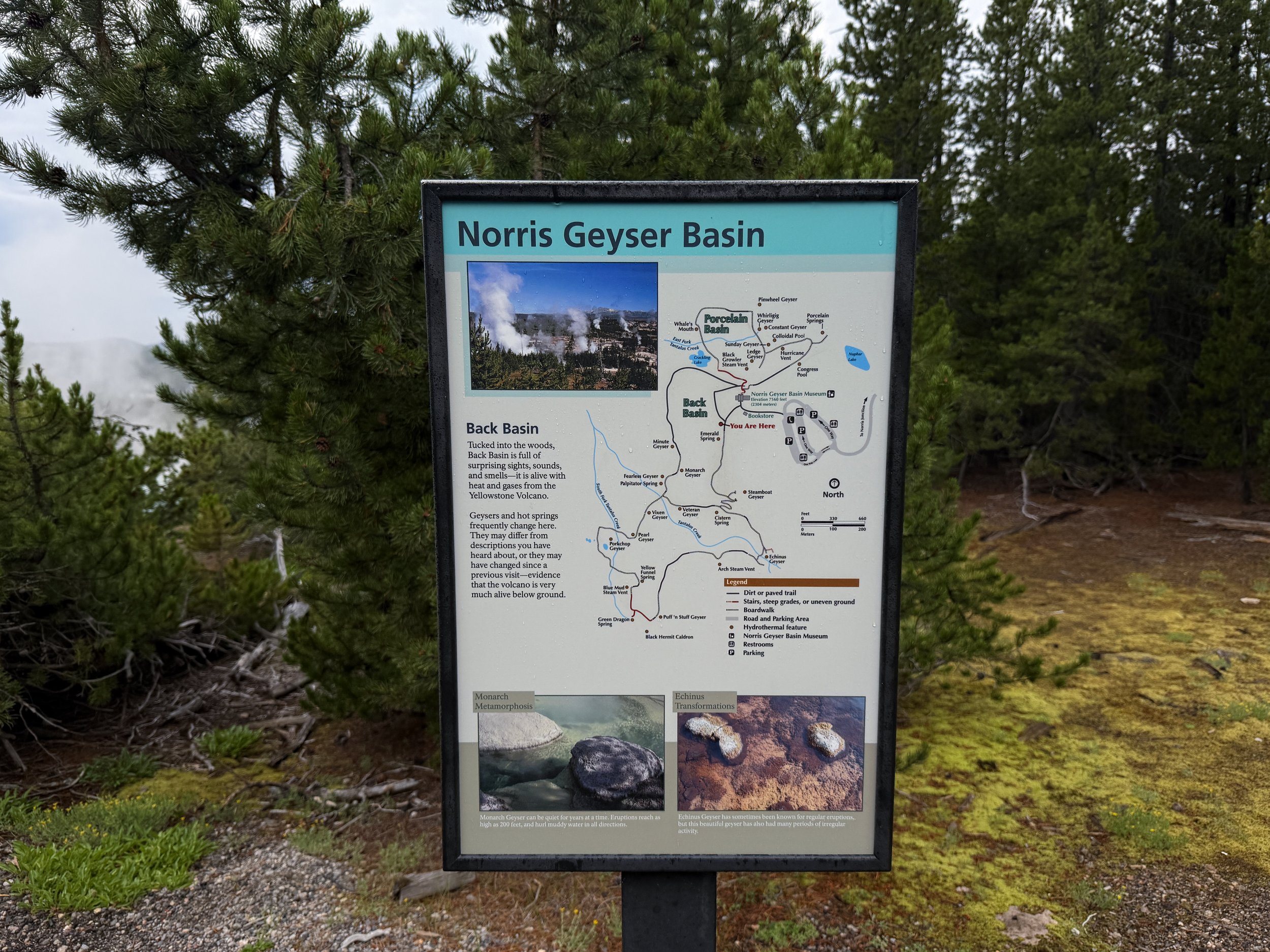 Norris Geyser Basin Trail Yellowstone National Park Wyoming