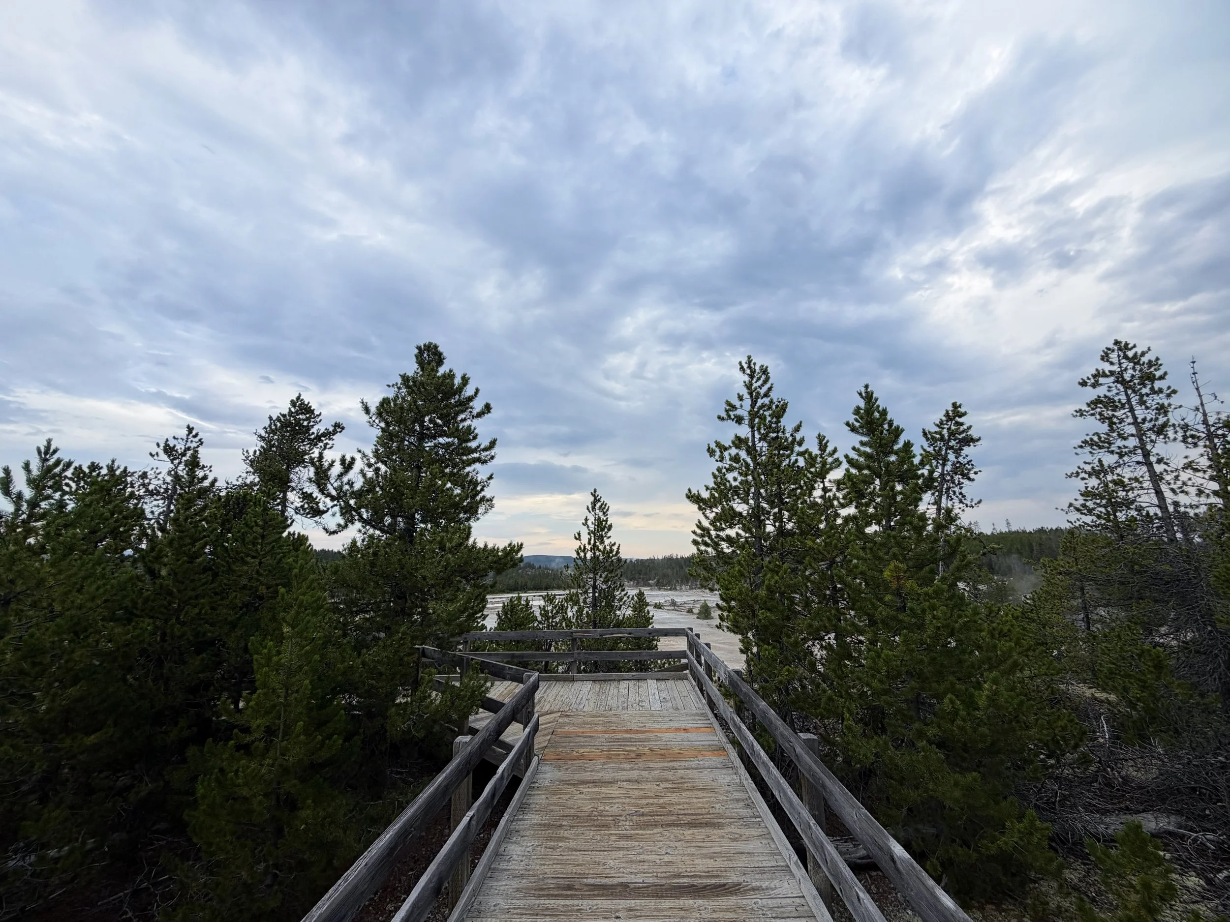 Back Basin Norris Geyser Basin Trail Yellowstone National Park Wyoming