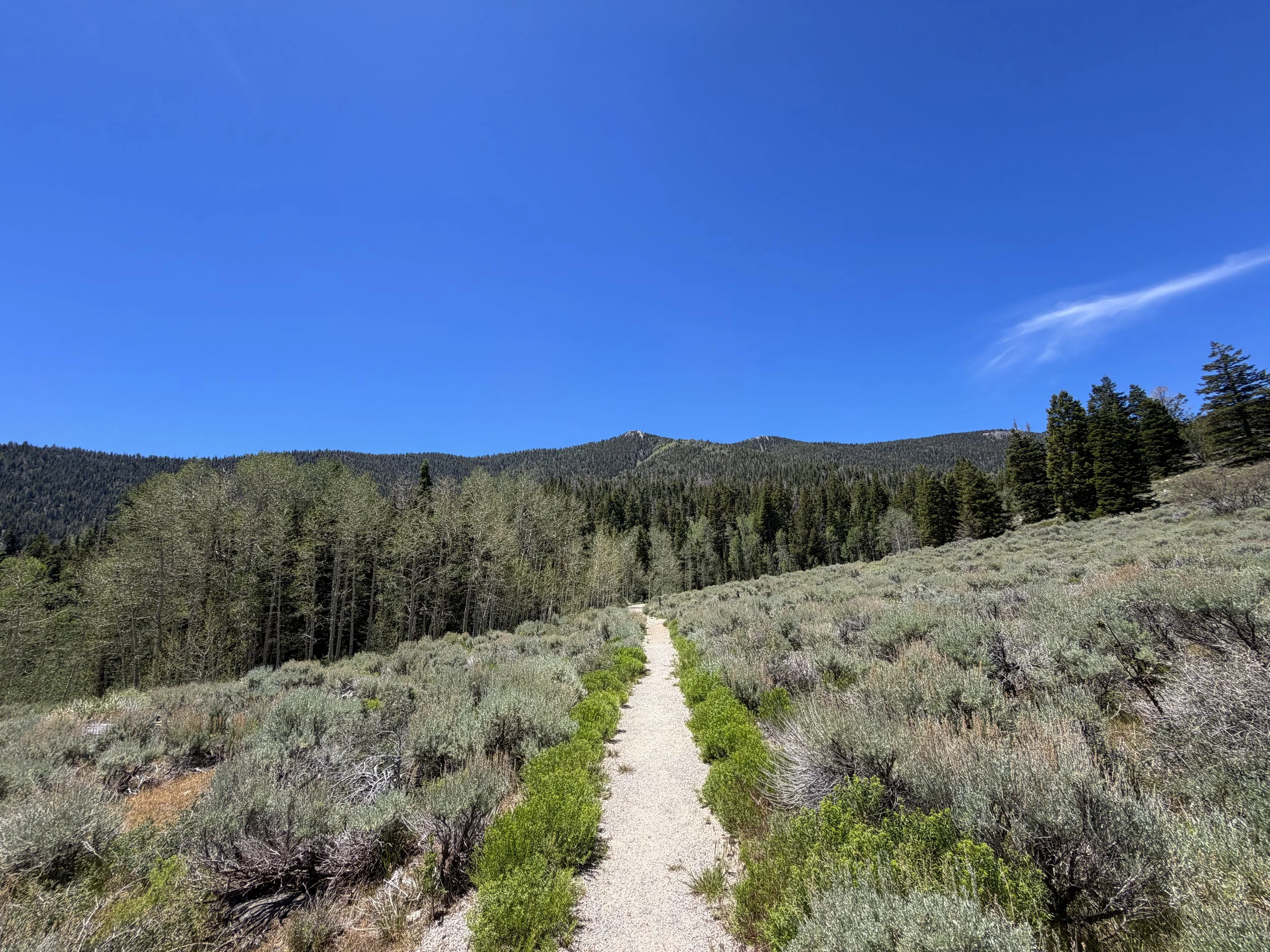Dead Lake Trail Great Basin National Park Nevada