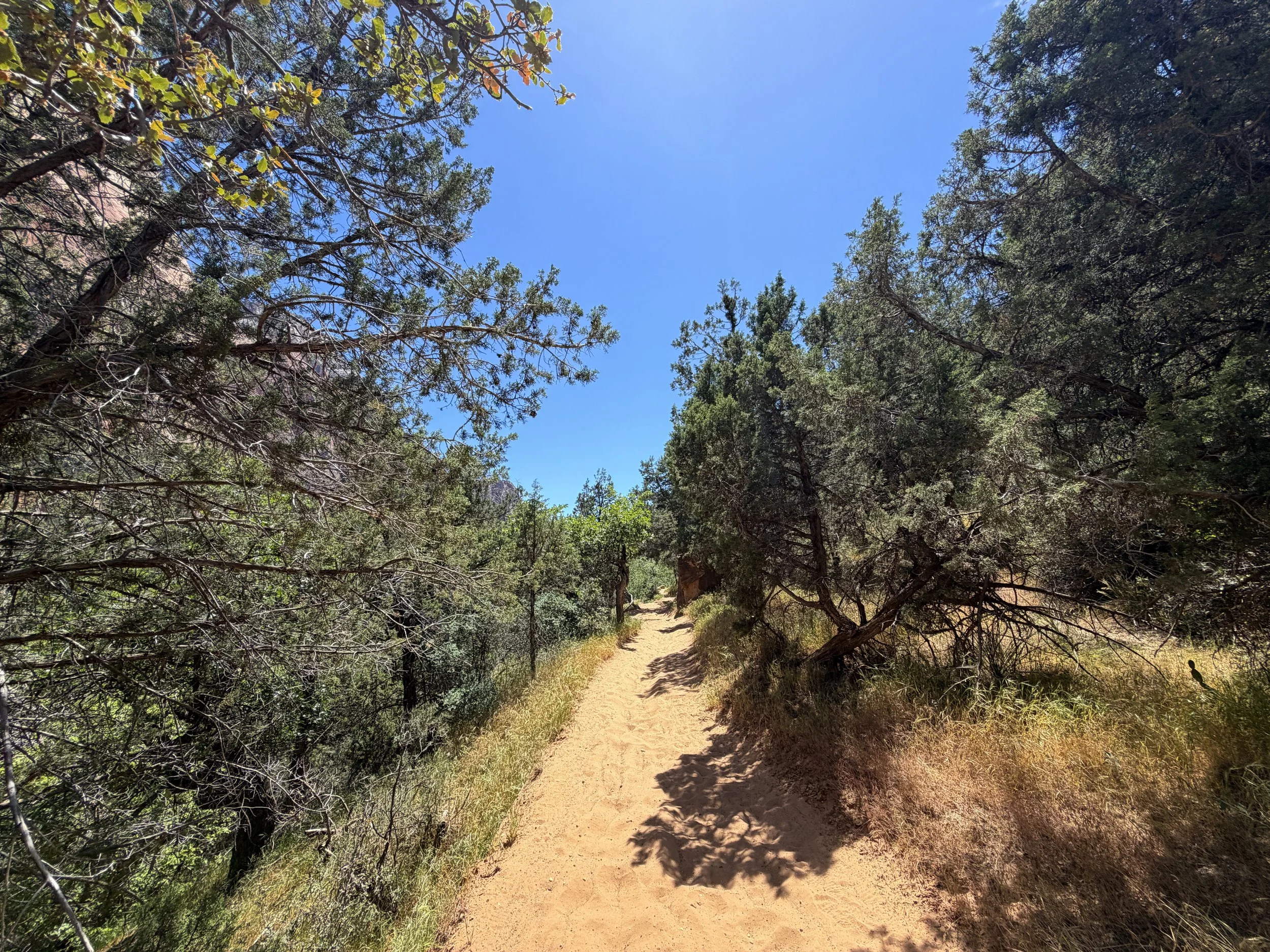 Sand Bench Loop Trail via Zion Lodge Zion National Park Utah