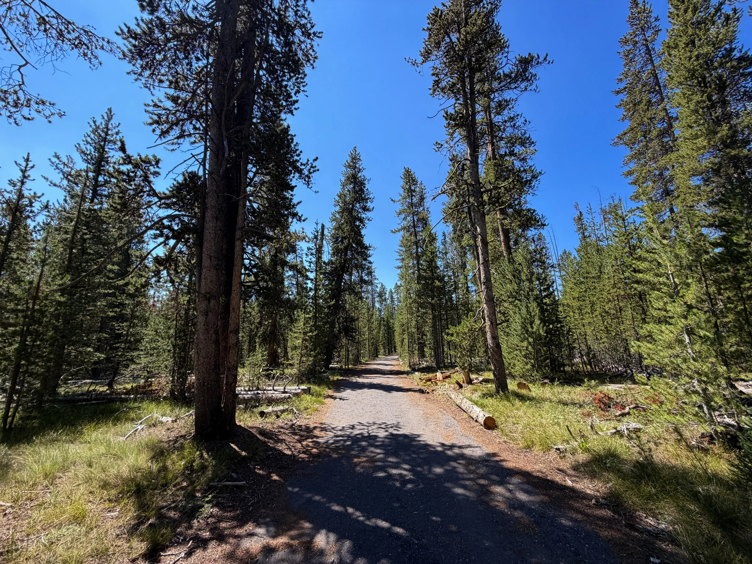 Lone Star Trail Yellowstone National Park Wyoming