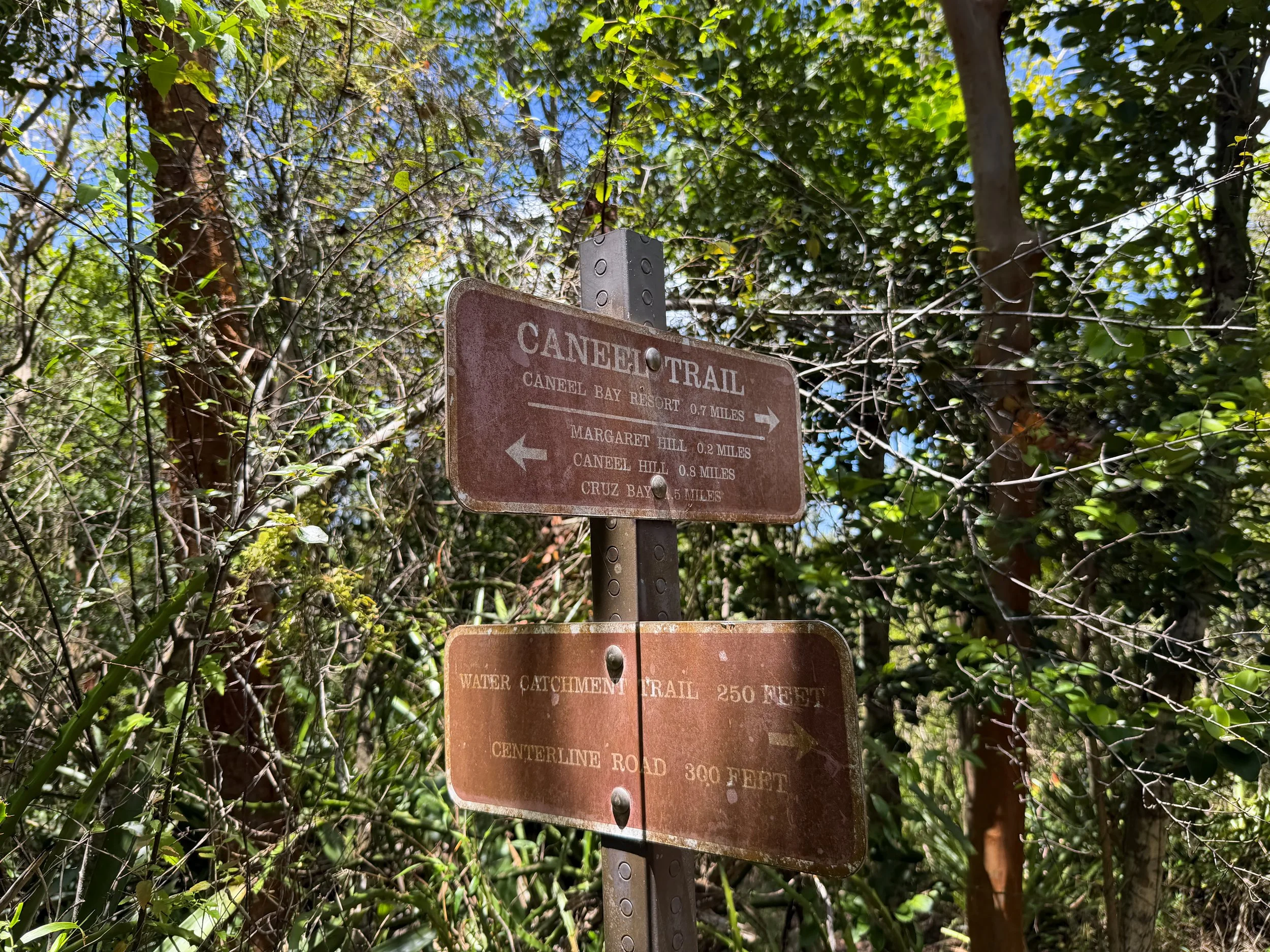 Caneel Hill Trail to North Shore Road Virgin Islands National Park