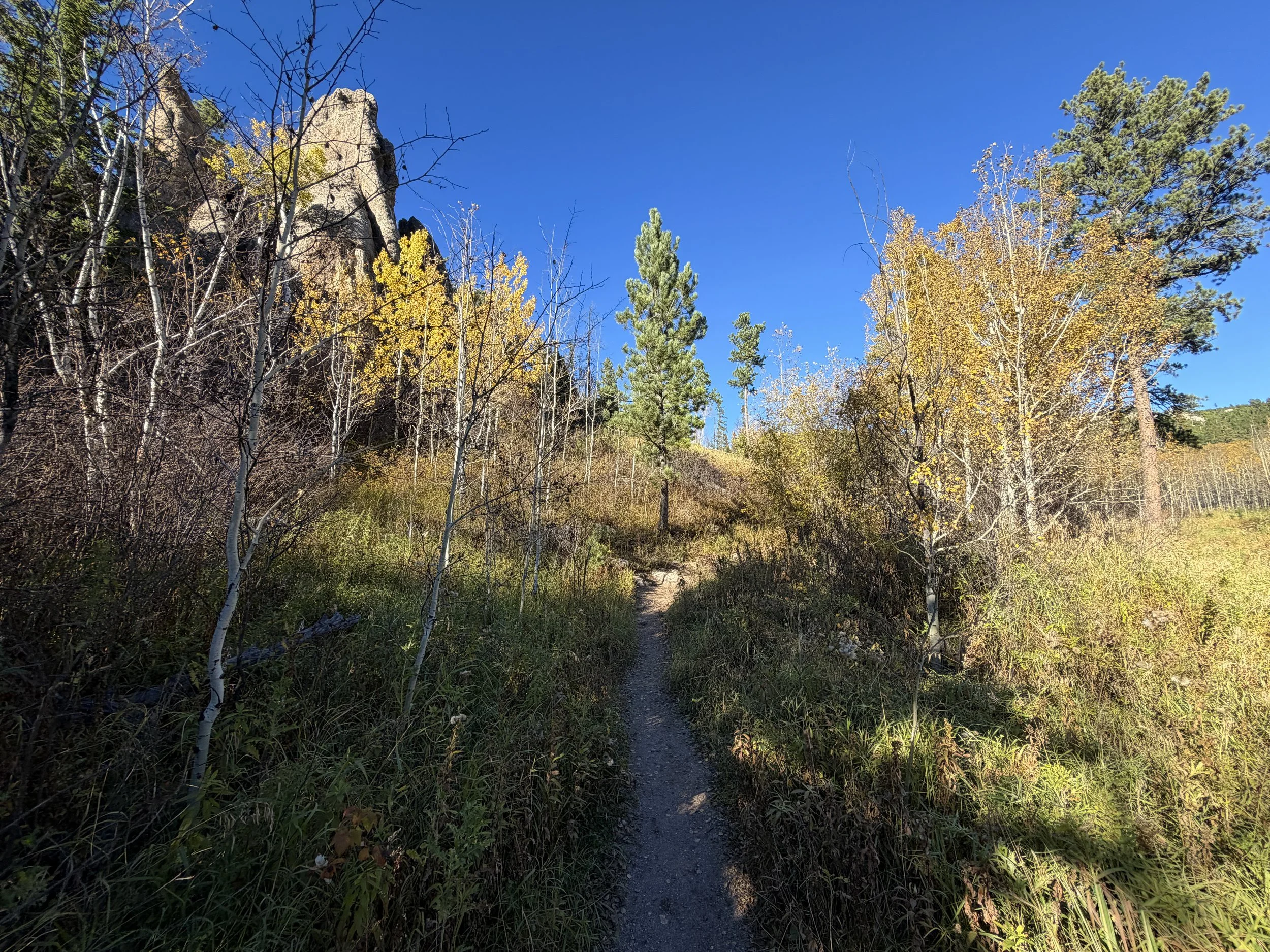 Little Devils Tower Trail Custer State Park Black Hills South Dakota