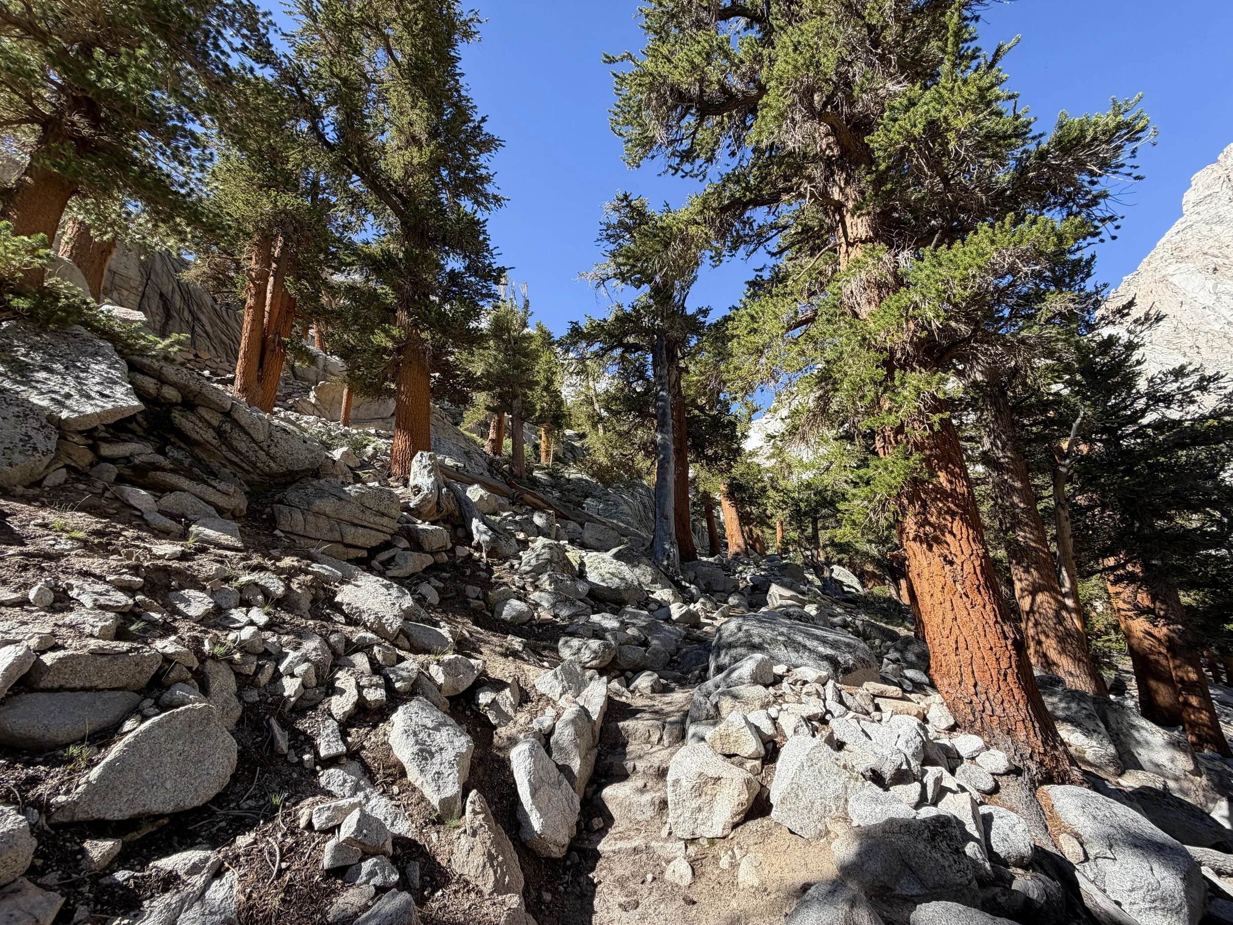 Mount Whitney Trail Lone Pine California
