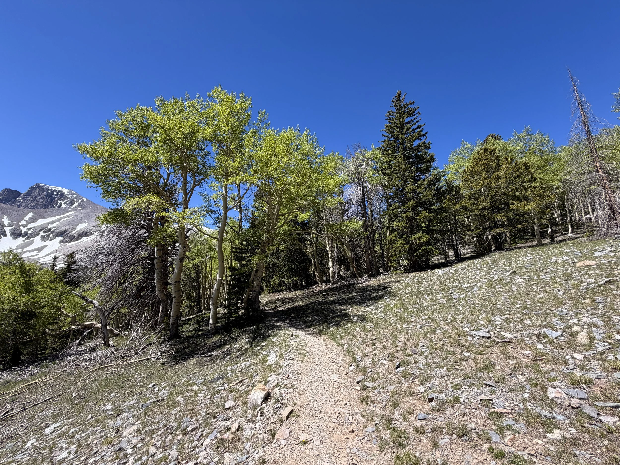 Wheeler Peak Summit Hike Great Basin National Park Nevada