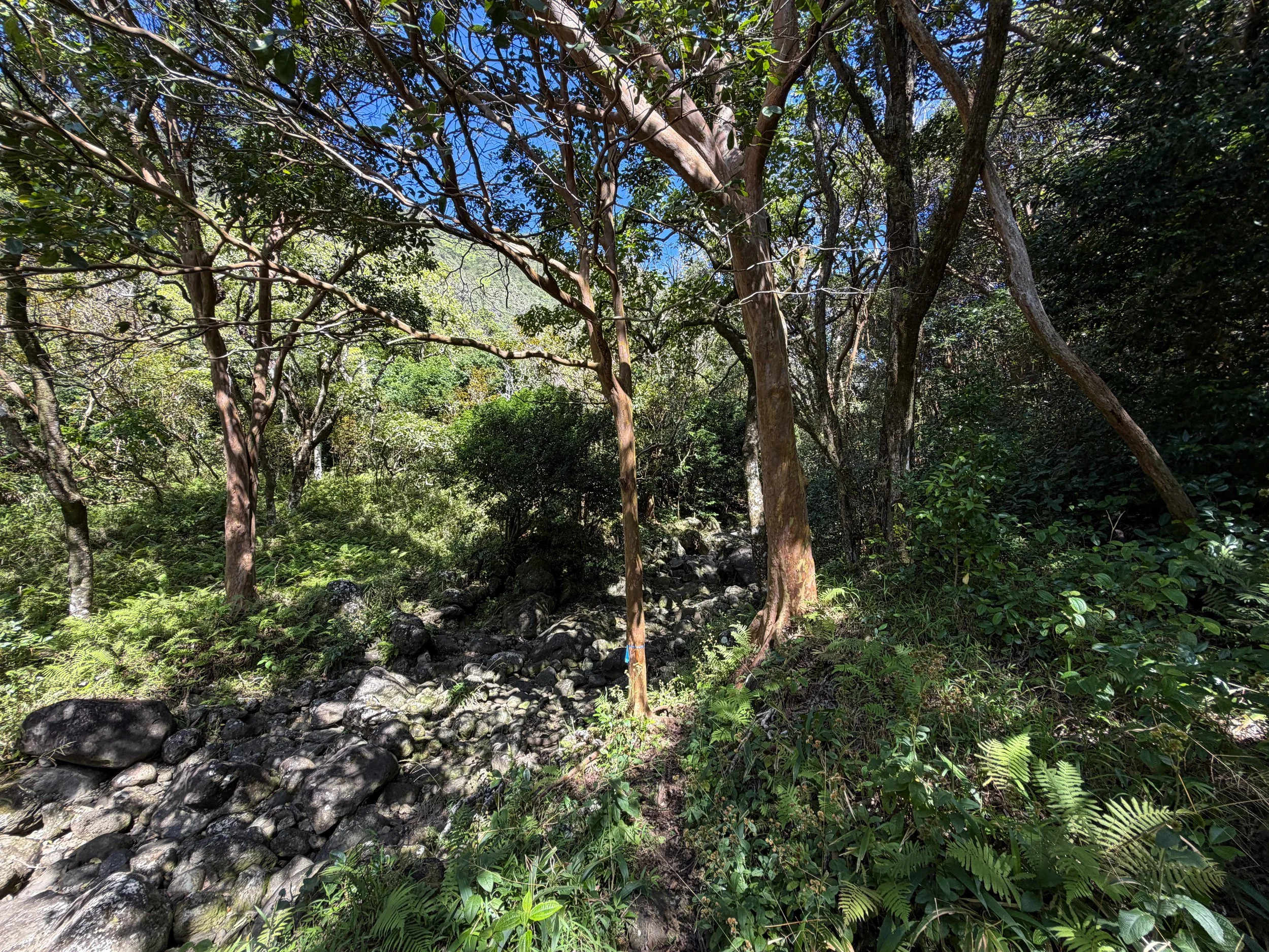 Kulanaahane Trail Oahu Hawaii