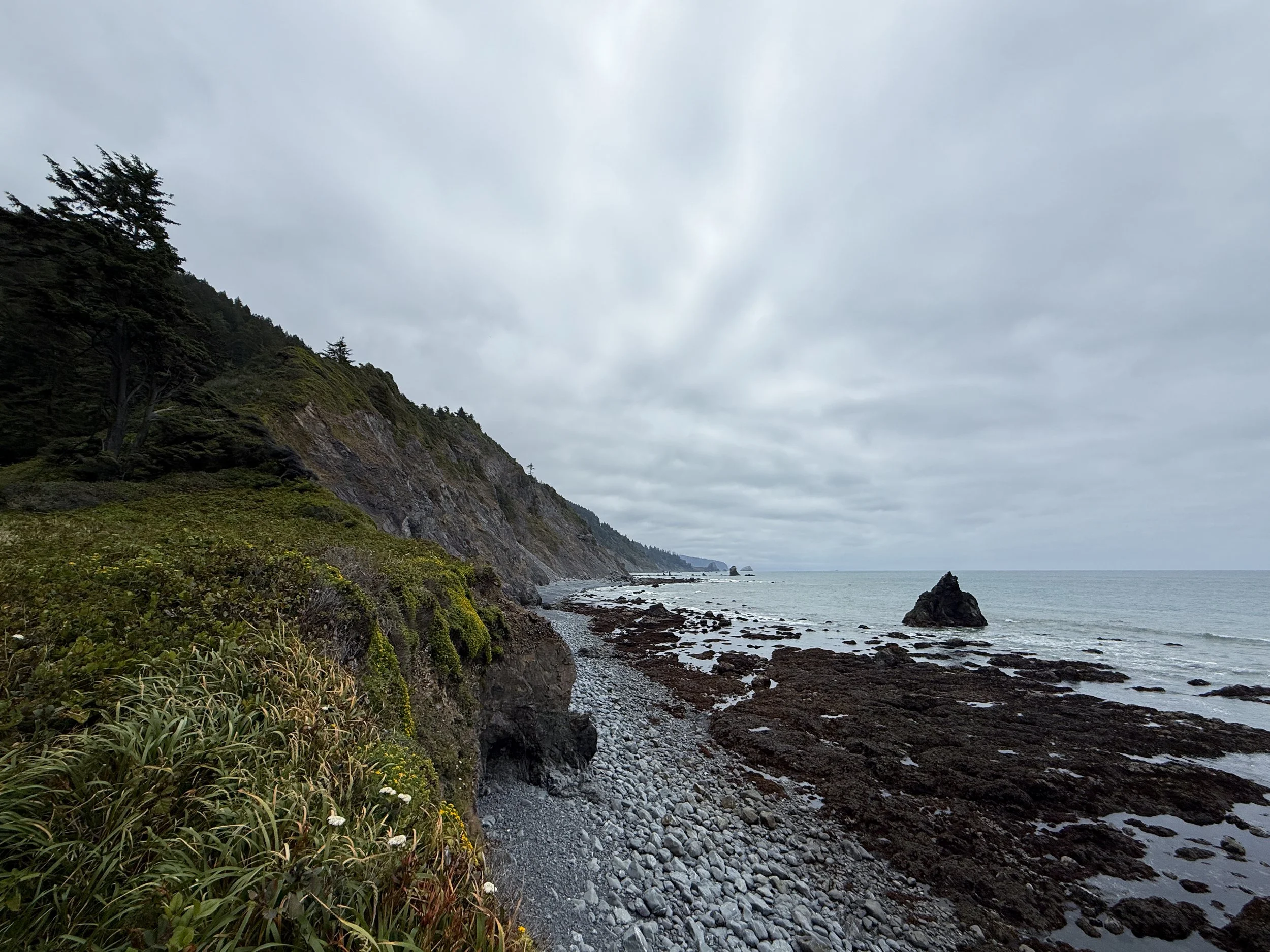 Damnation Creek Trail Beach Del Norte Coast Redwoods State Park California