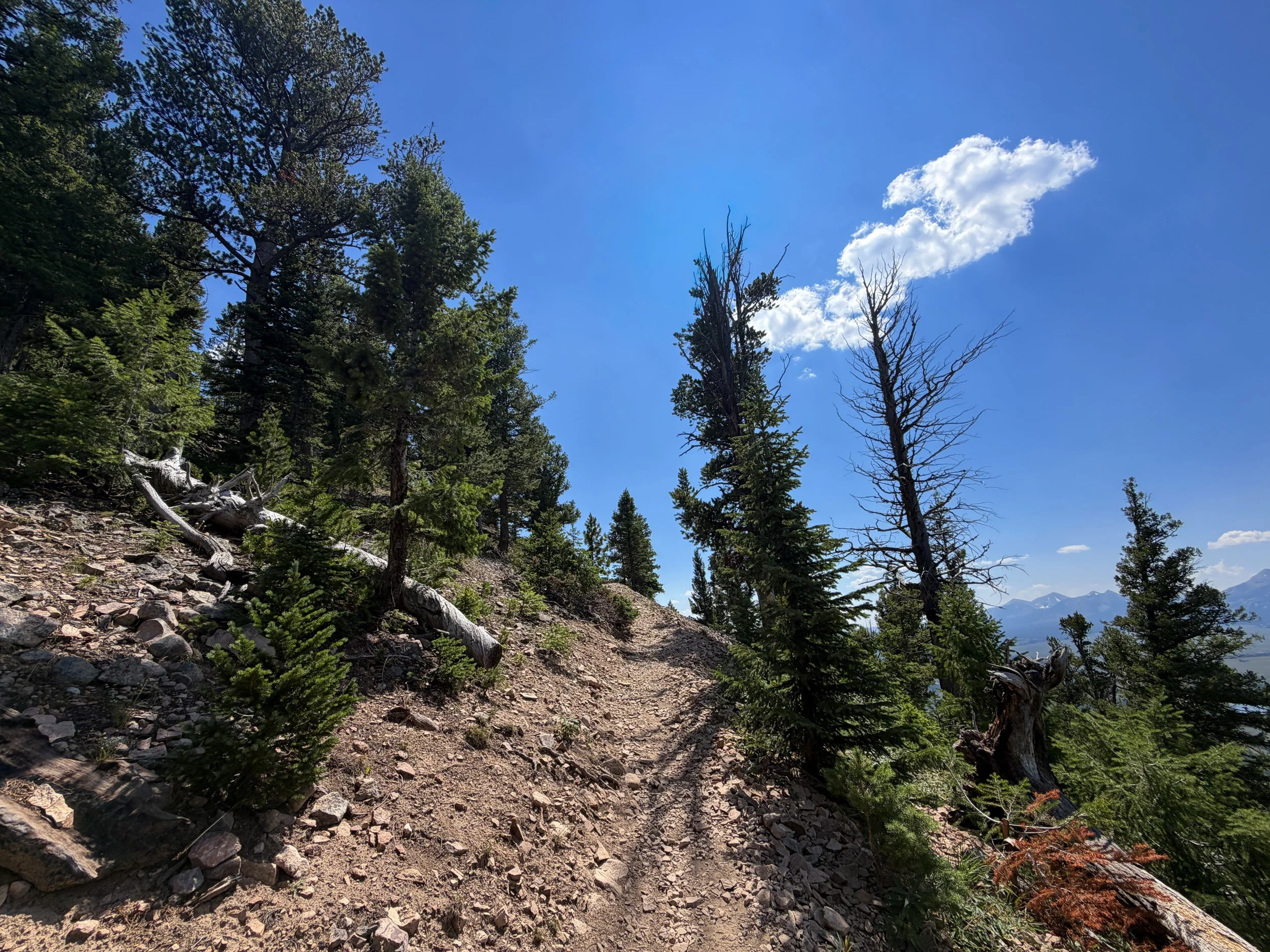 Bunsen Peak Trail Yellowstone National Park Wyoming