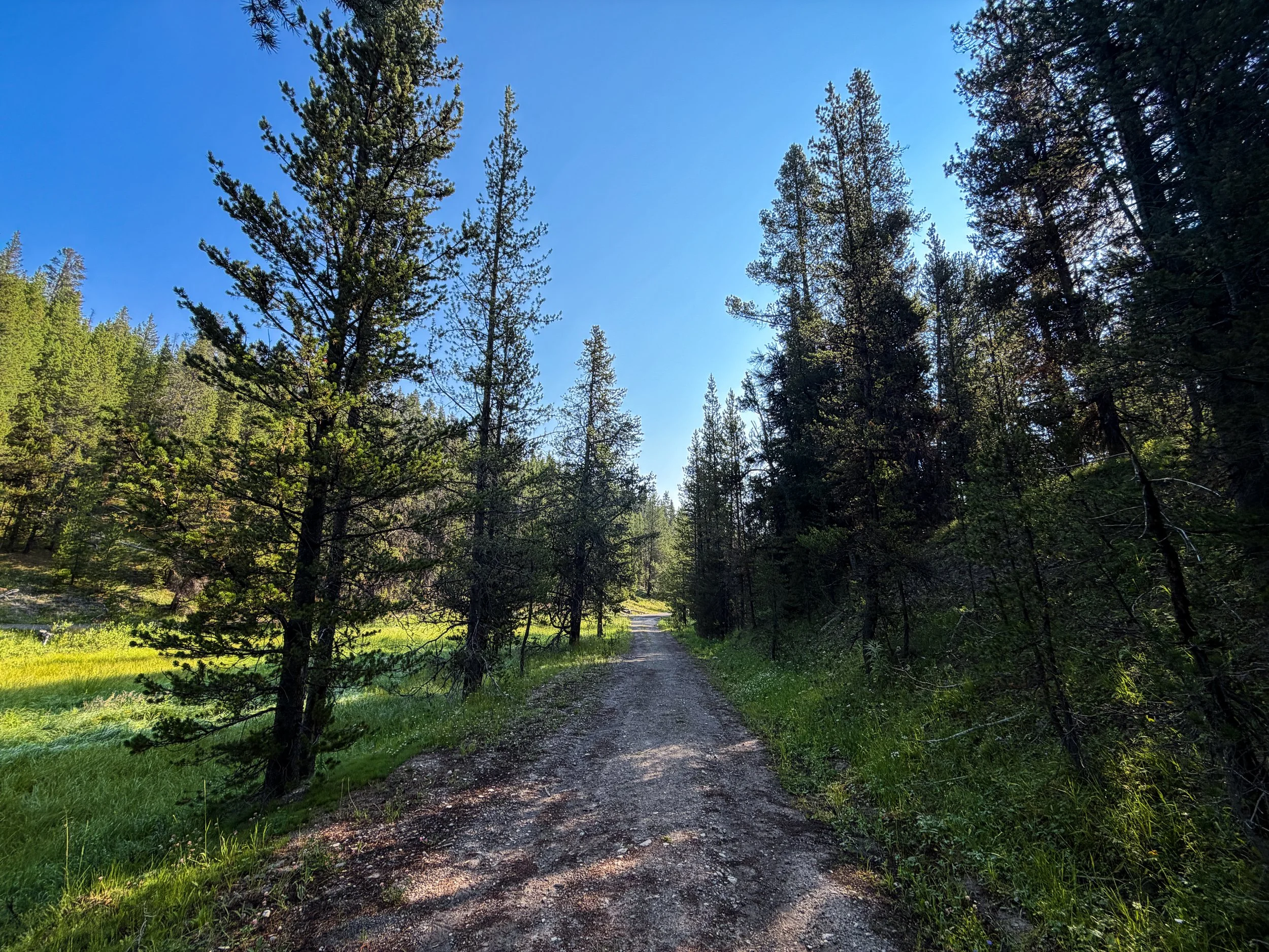 Natural Bridge Trail Yellowstone National Park Wyoming