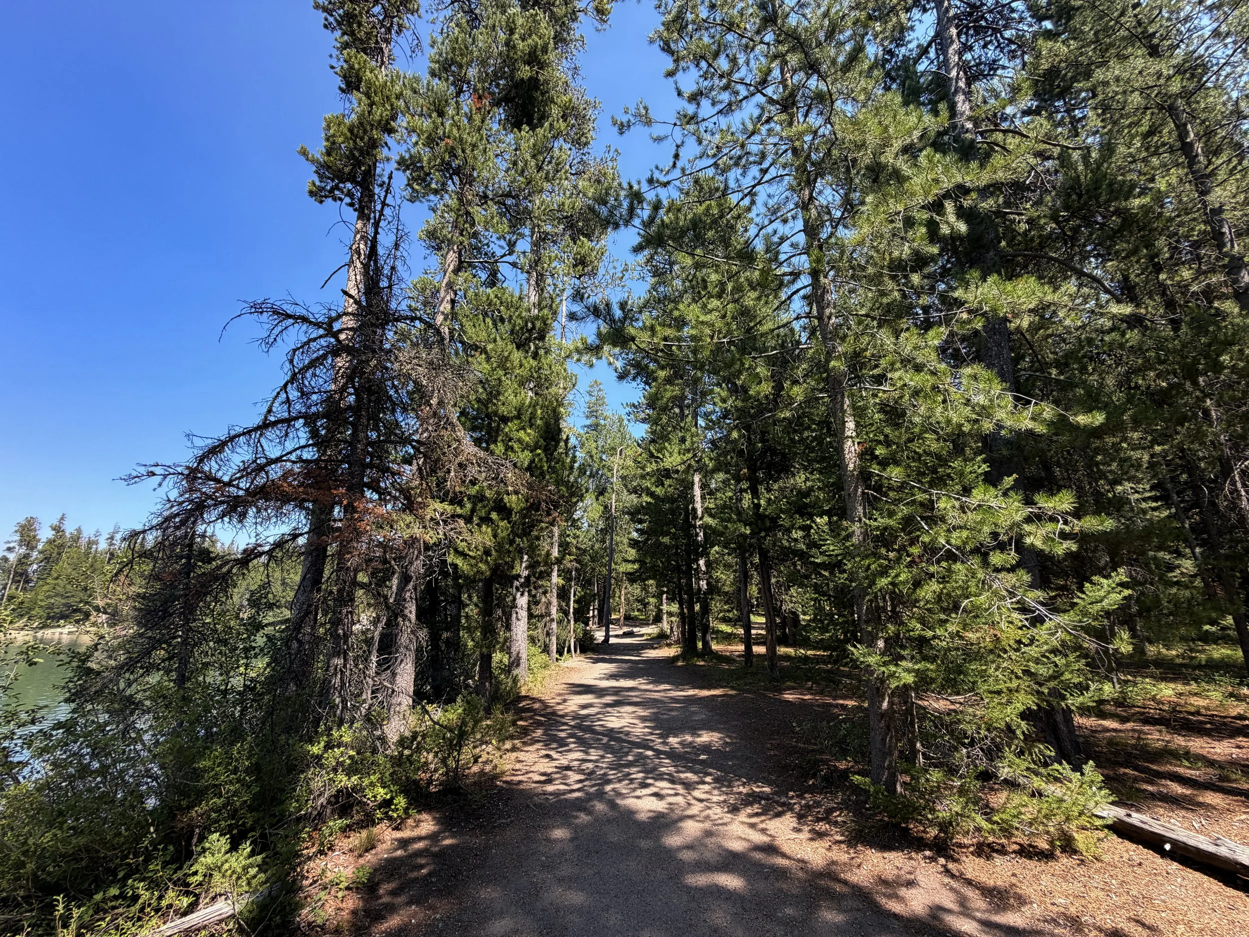 String Lake Loop Trail Grand Teton National Park Wyoming
