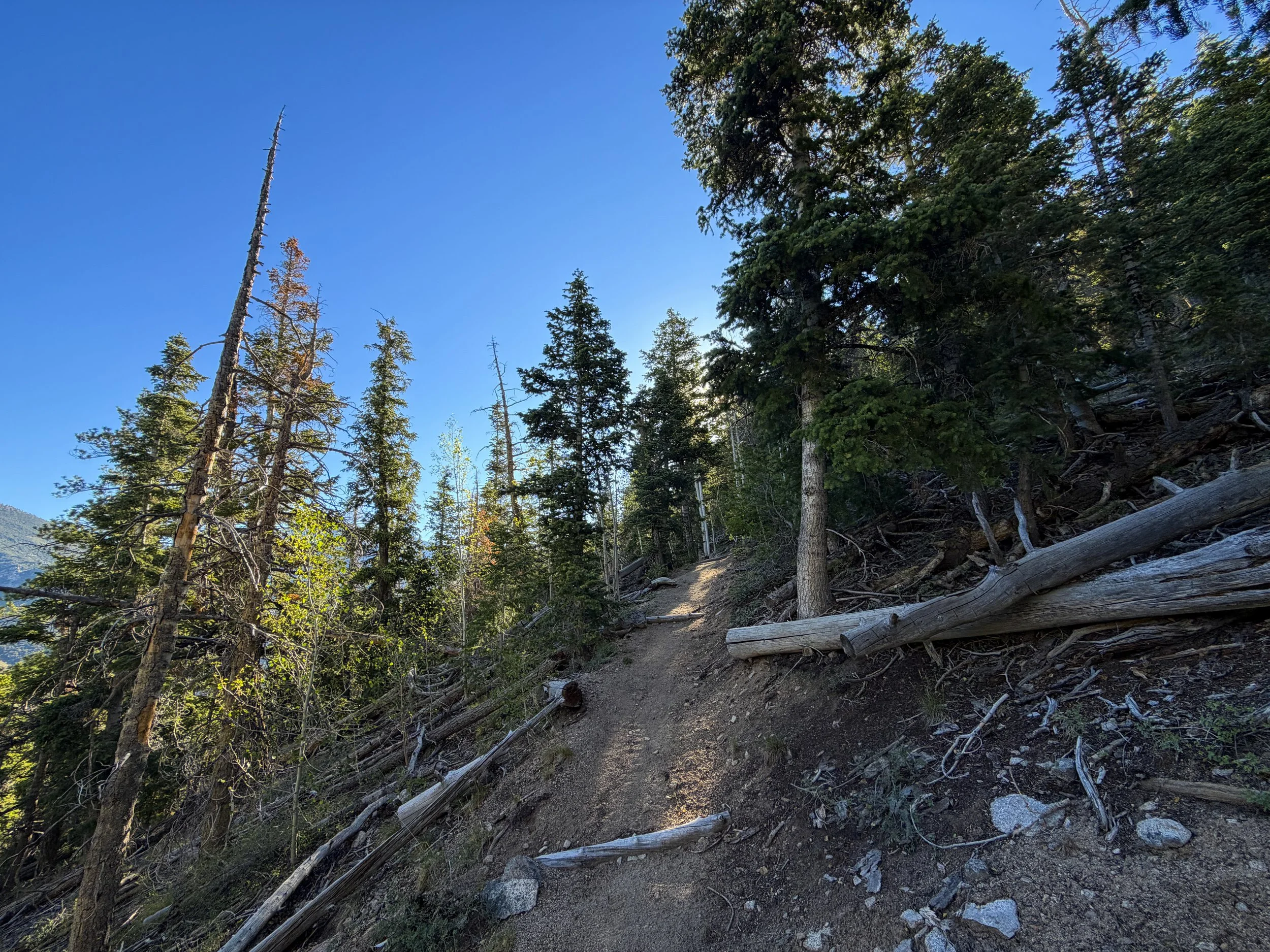 Snake Divide Trail Great Basin National Park Nevada