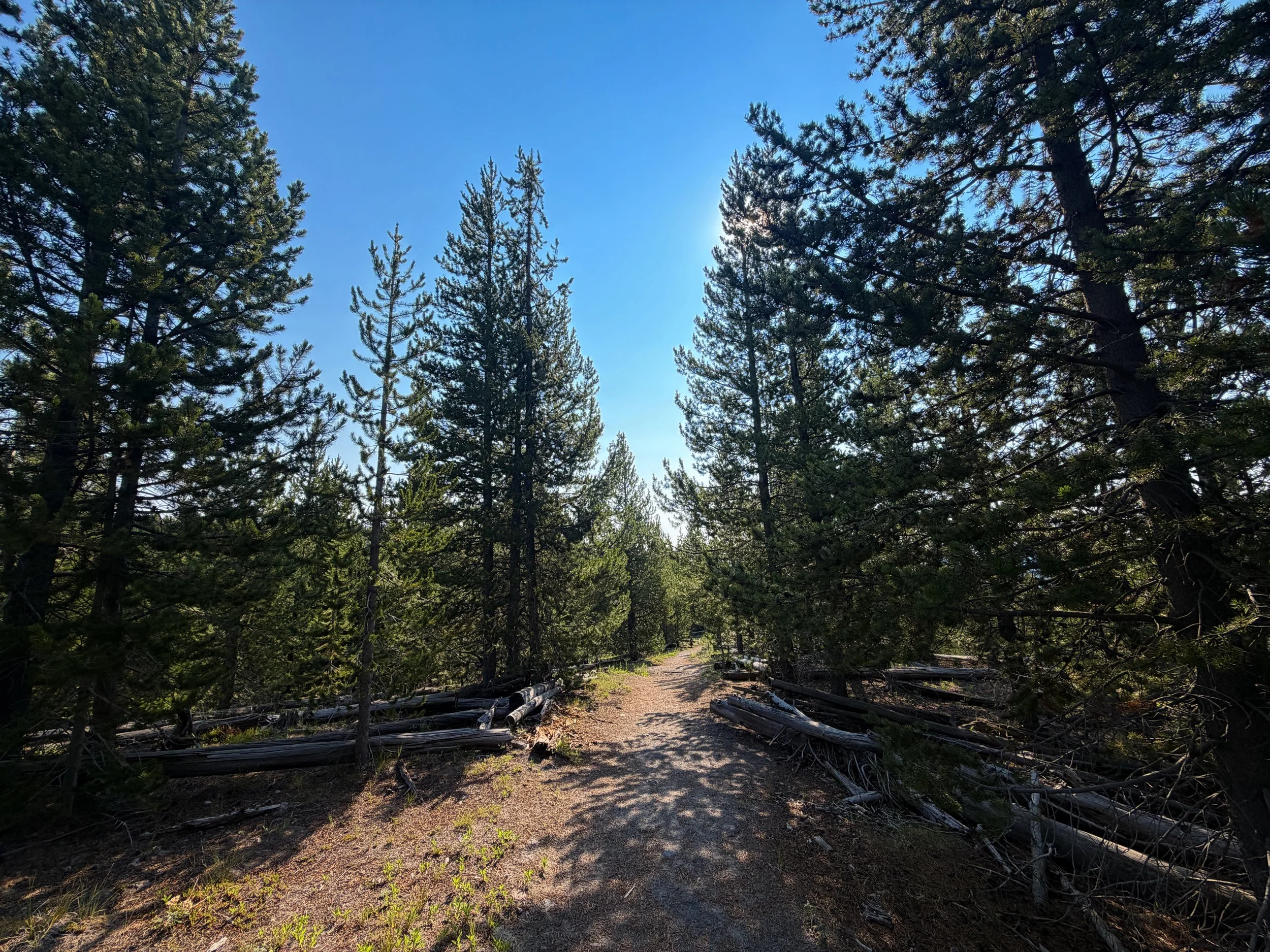 Mystic Falls Loop Trail Yellowstone National Park Wyoming