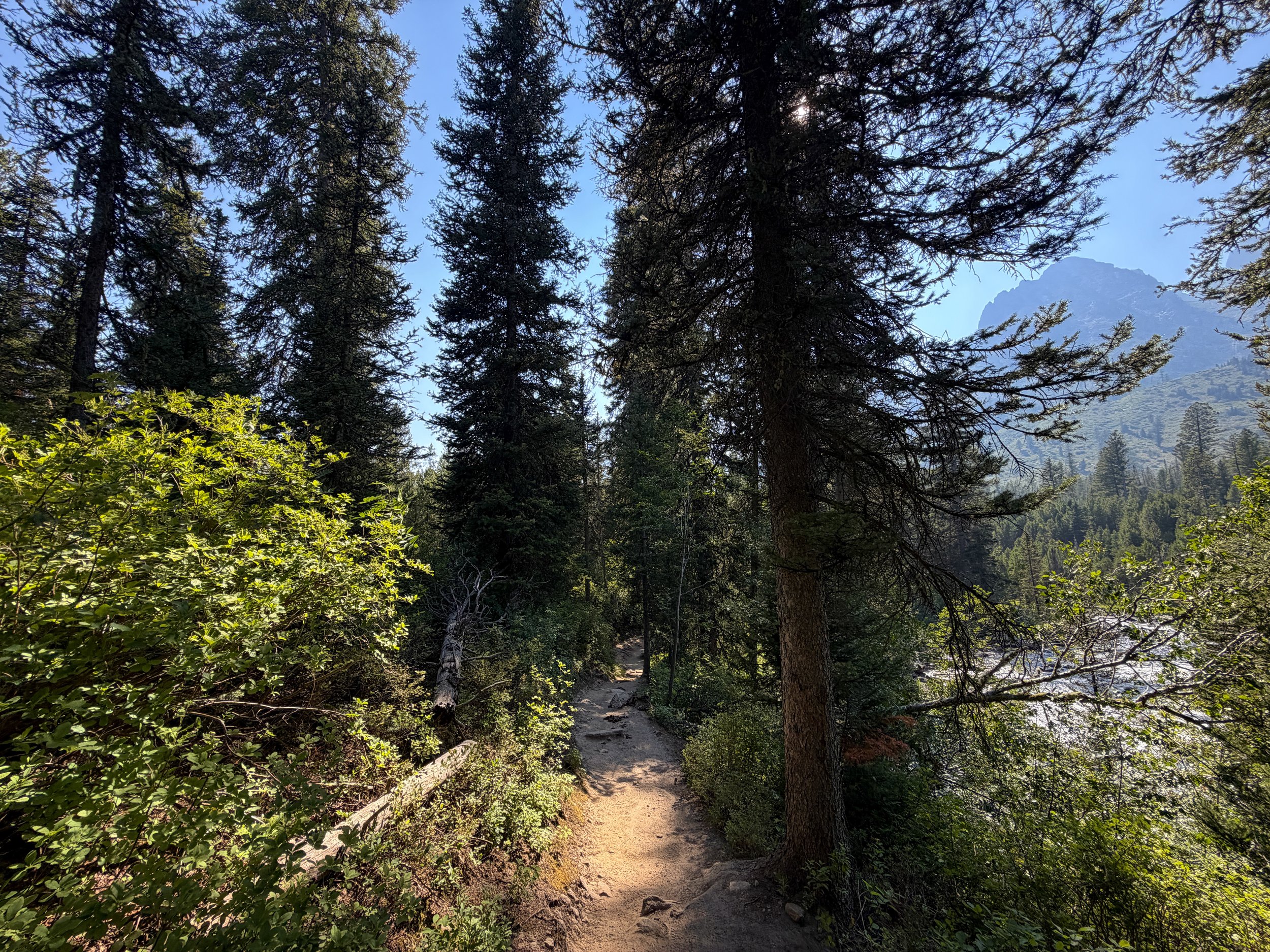 Jenny Lake Hike Grand Teton National Park Wyoming