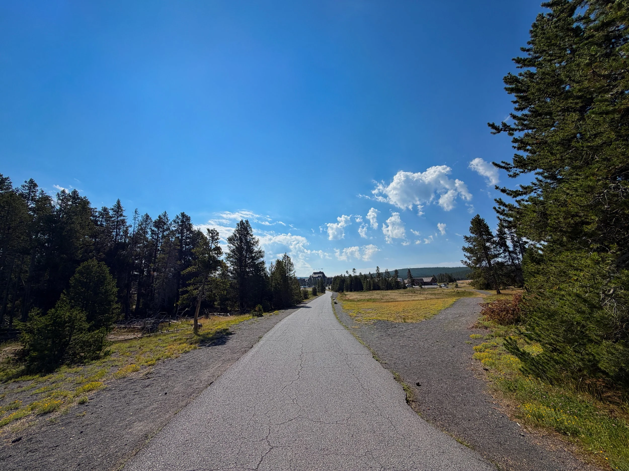 Upper Geyser Basin Trail Yellowstone National Park Wyoming