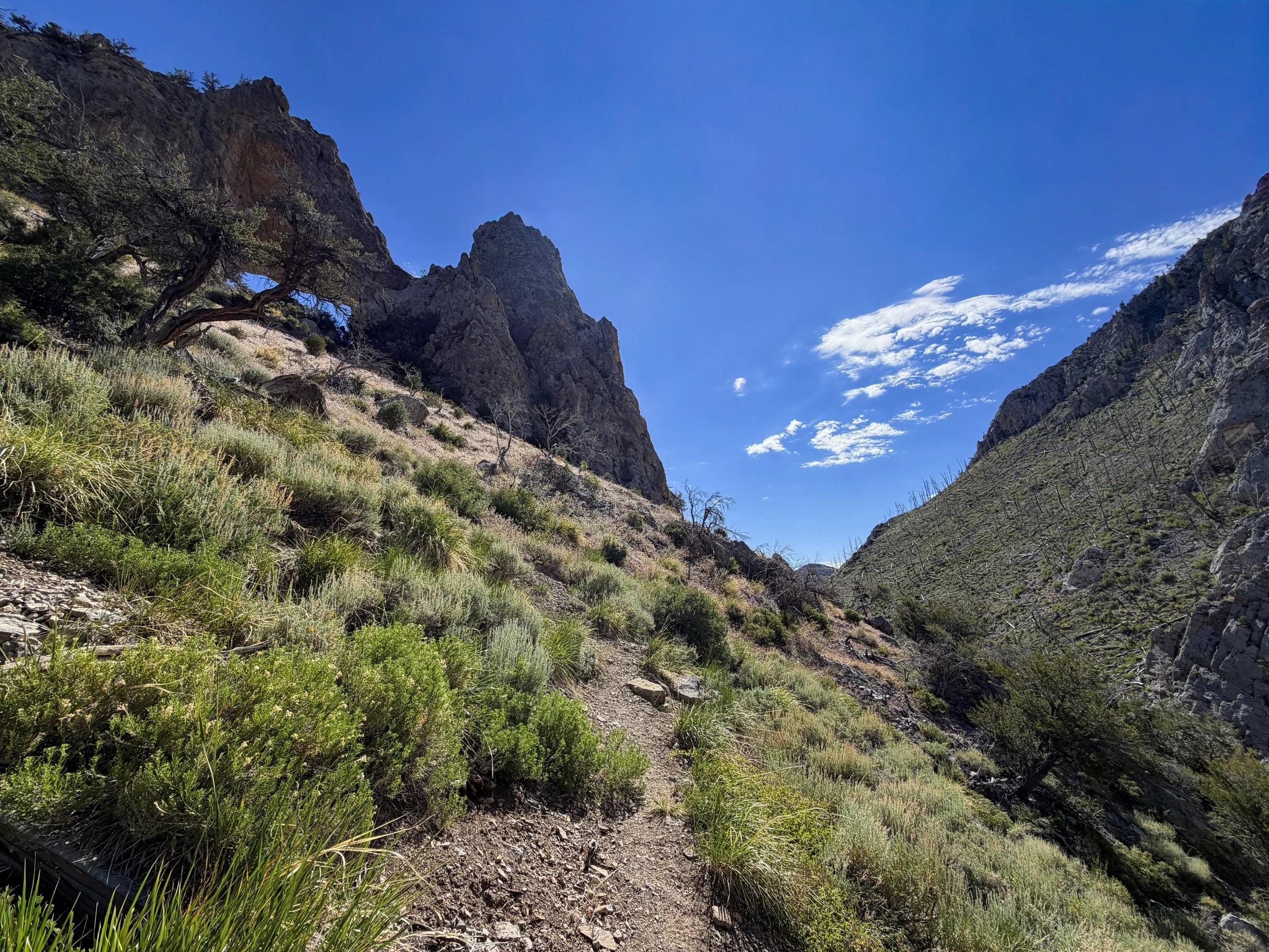 Lexington Arch Trail Great Basin National Park Nevada