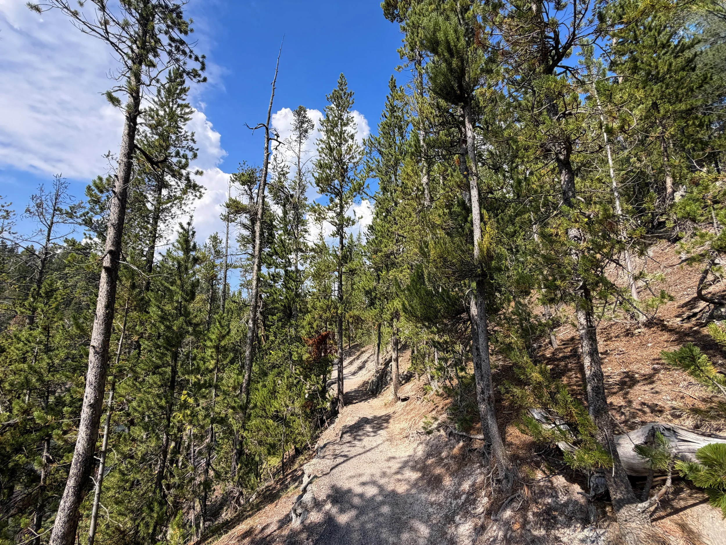 South Rim Trail Yellowstone National Park Wyoming