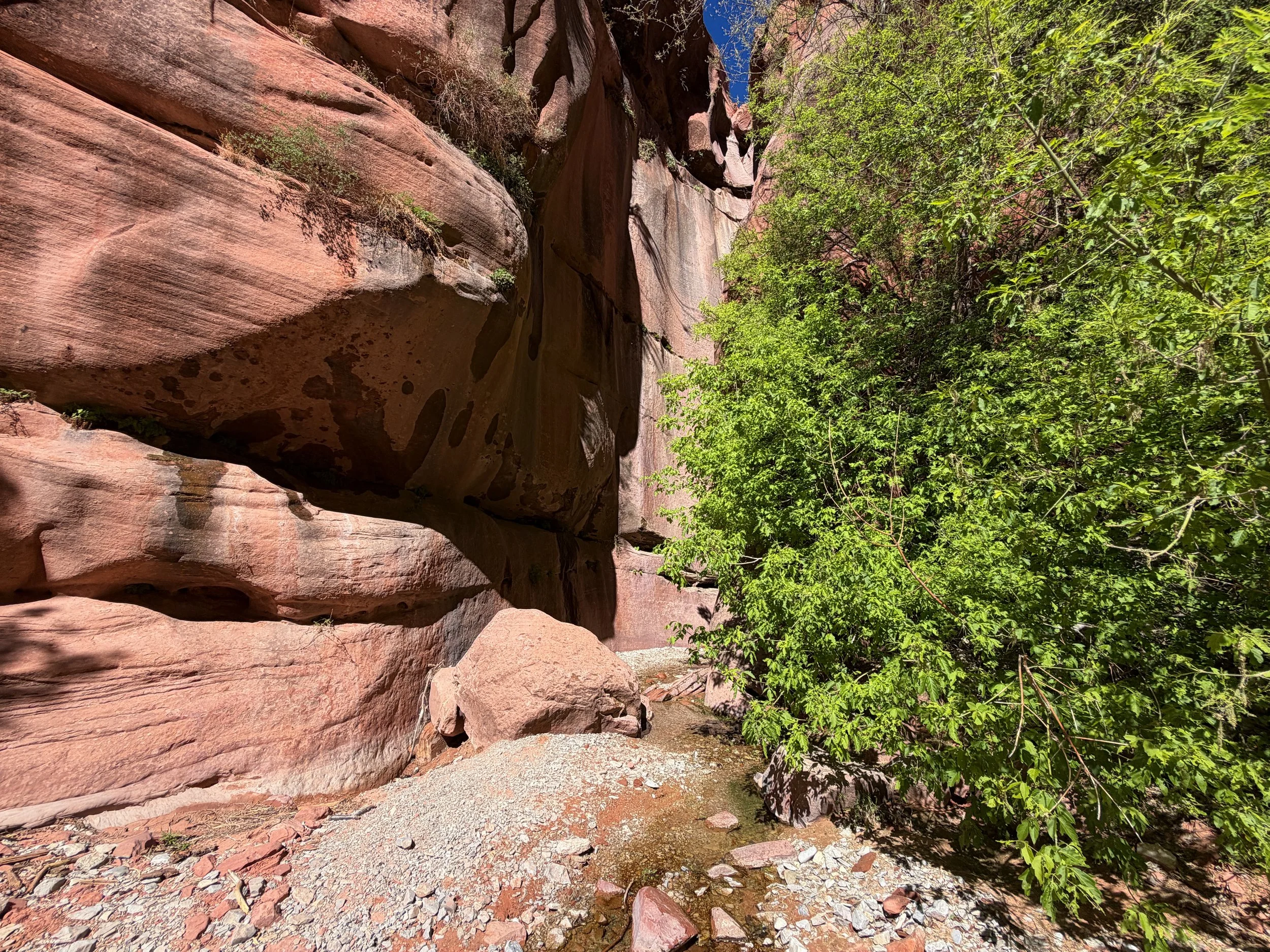 Taylor Creek Trail Zion National Park Utah