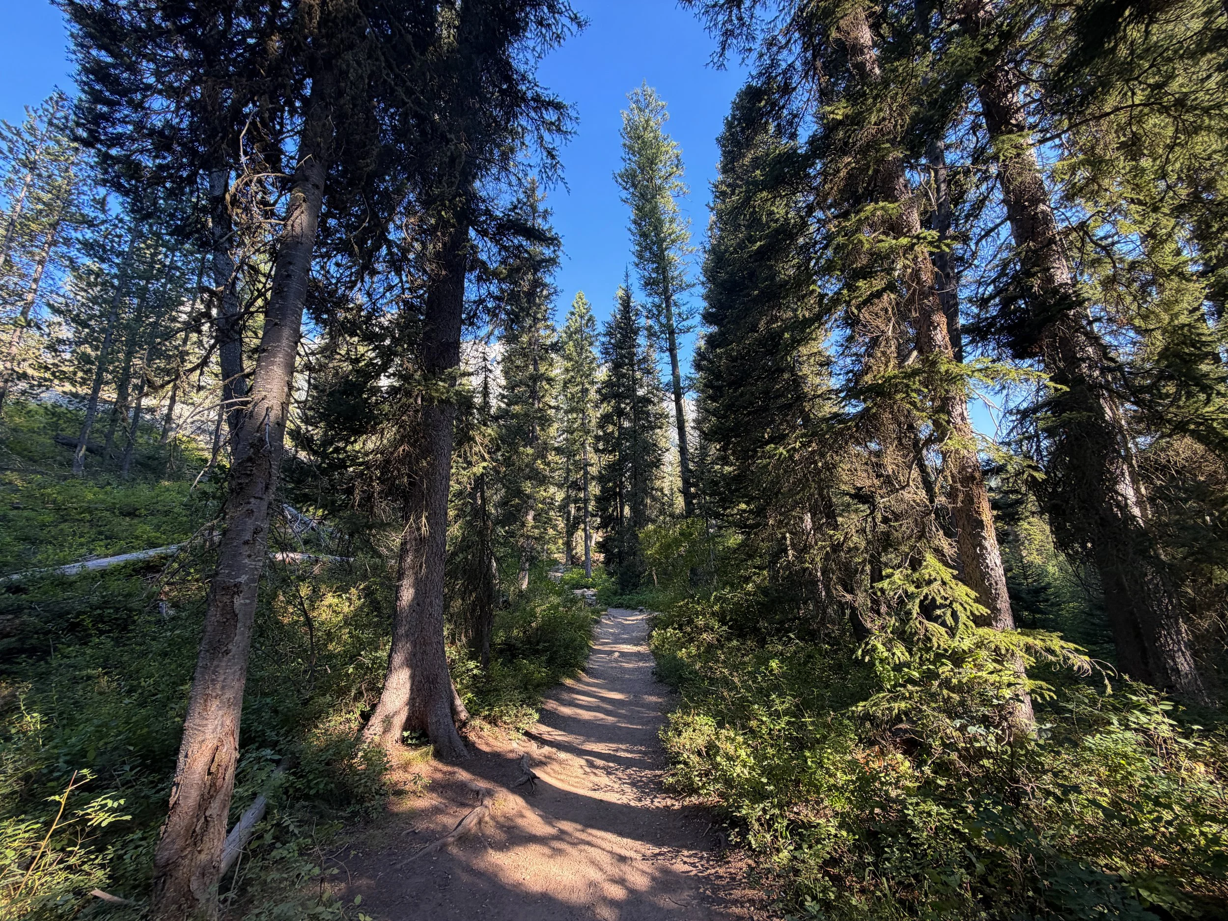 Jenny Lake Loop Trail to Hidden Falls Grand Teton National Park Wyoming