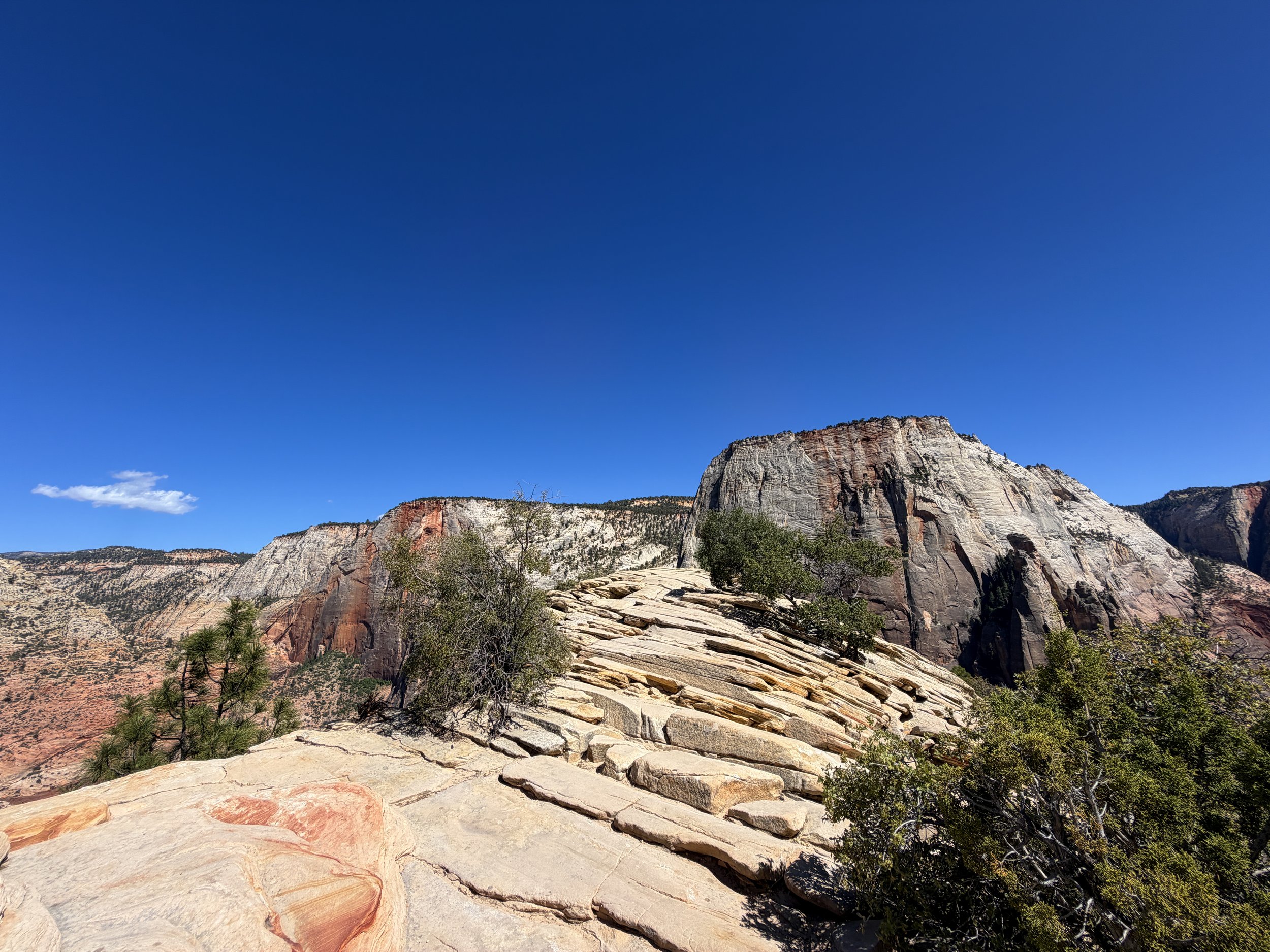 Angels Landing Summit Zion National Park Utah