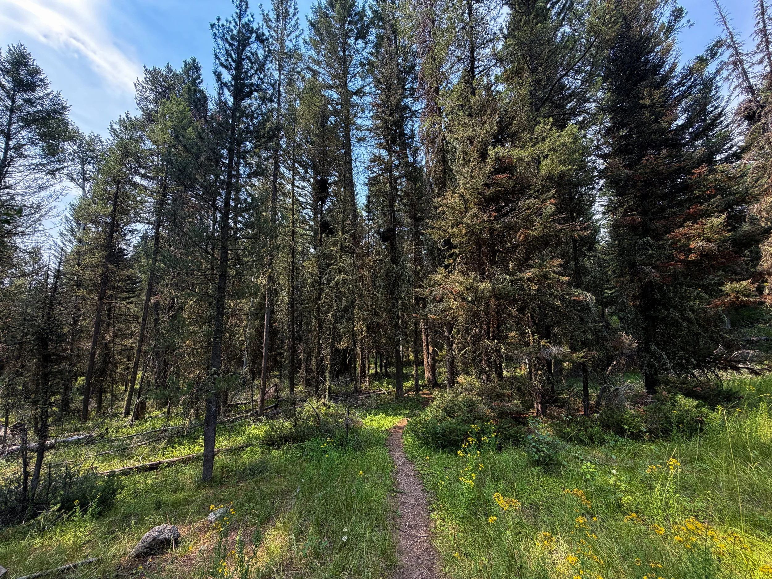 Boulder Ridge Trail Grand Teton National Park Wyoming